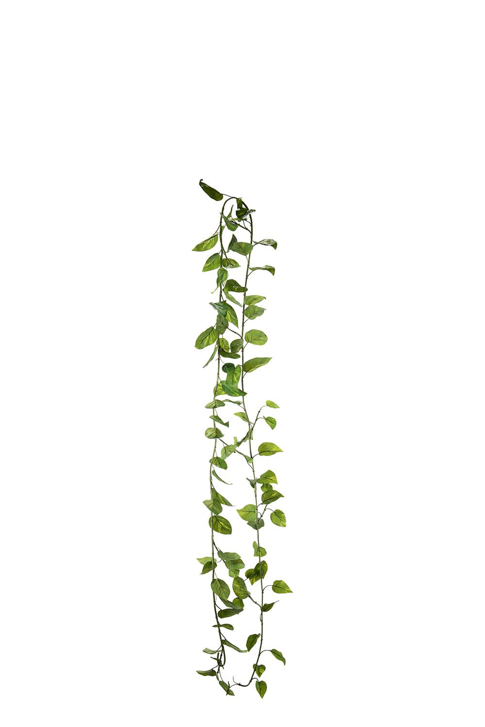 Konstgjord grön Gullranka girlang 350cm