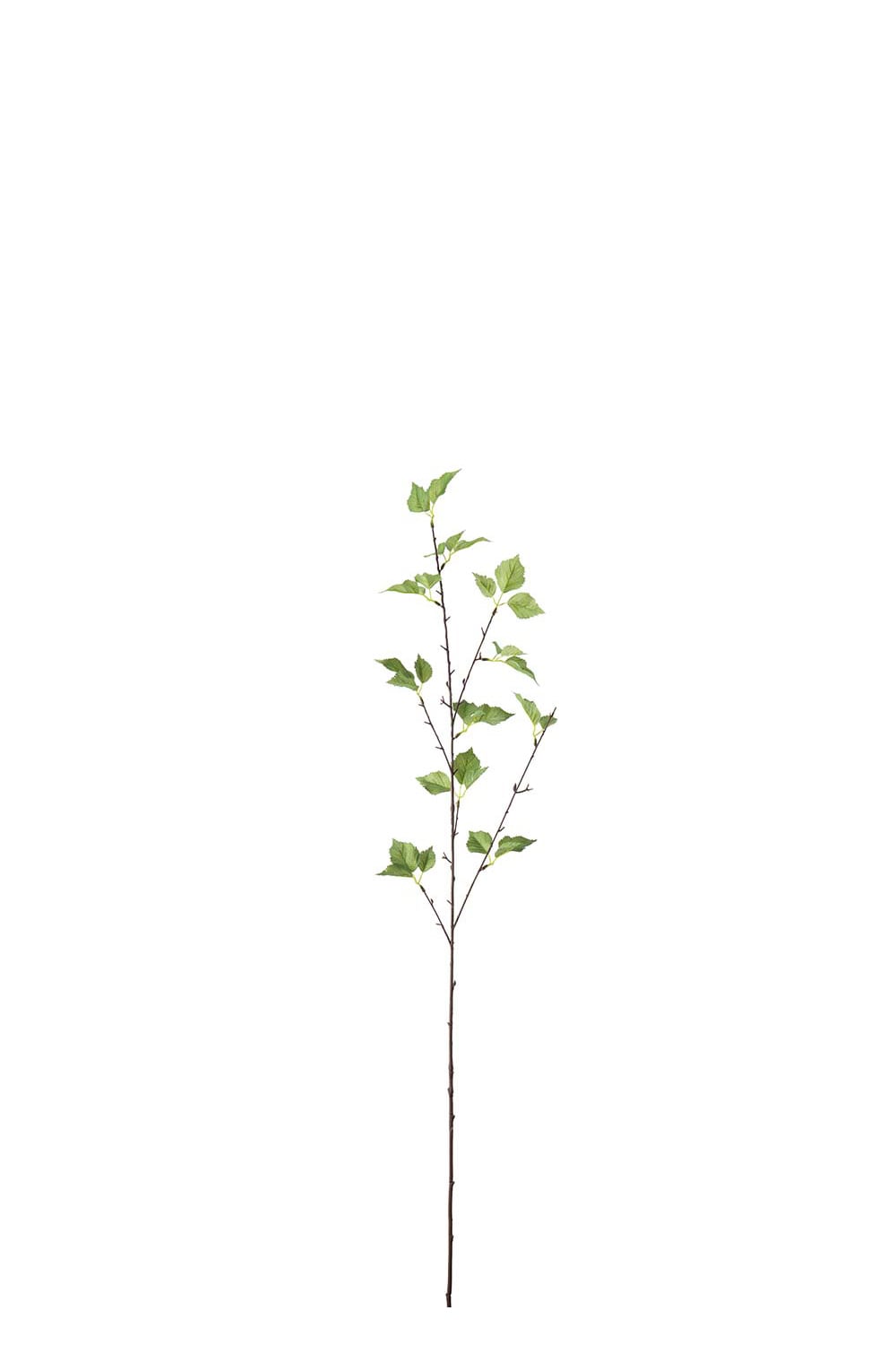 Konstgjord grön Björk 75cm