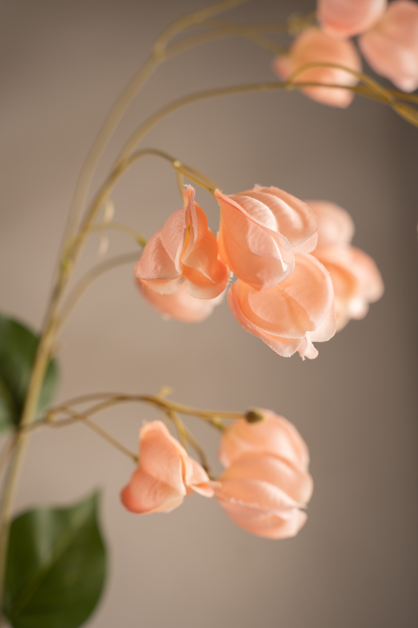 Konstgjord persikofärgad Physalis 85cm