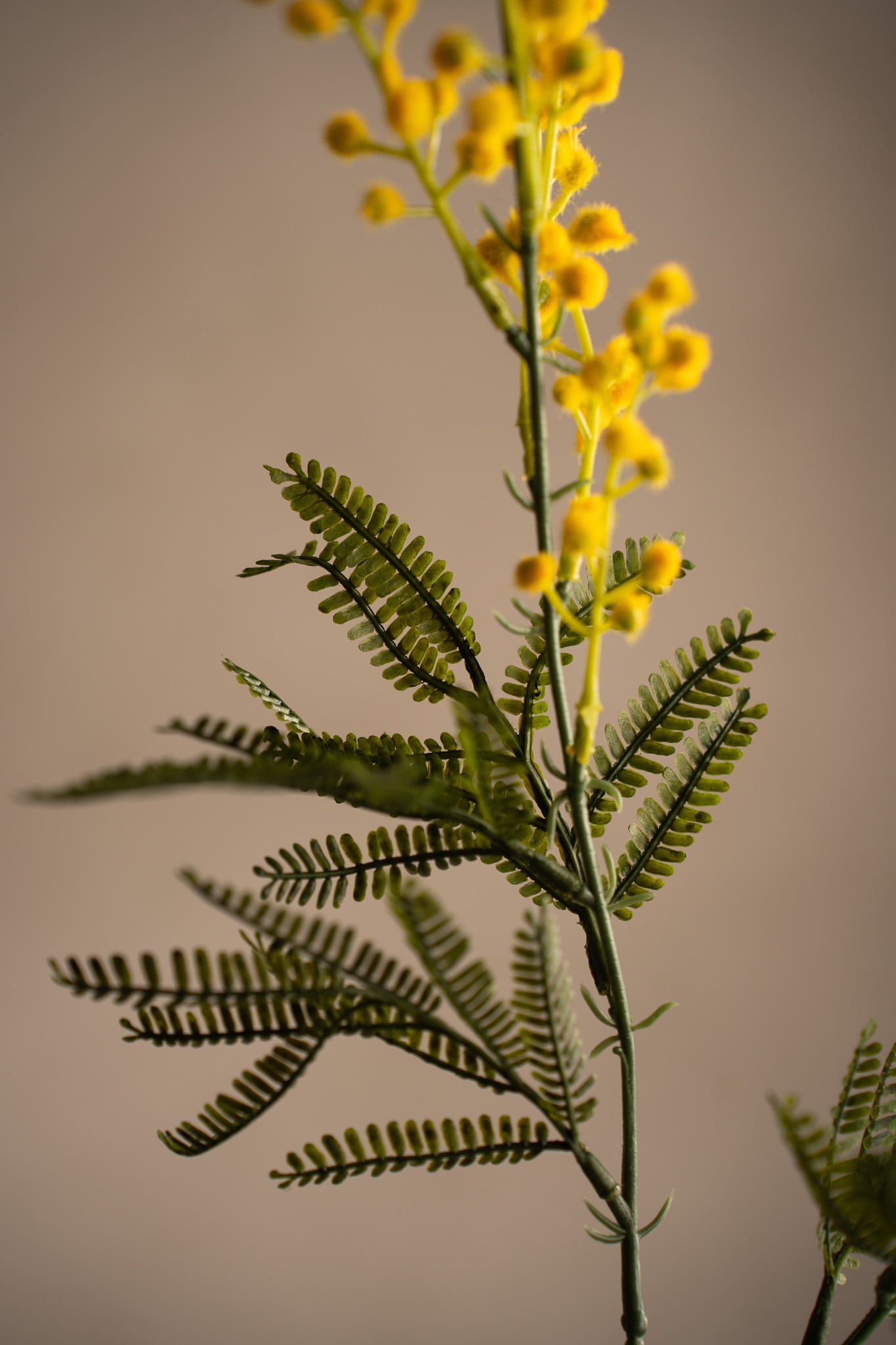 Konstgjord gul Mimosa 75cm