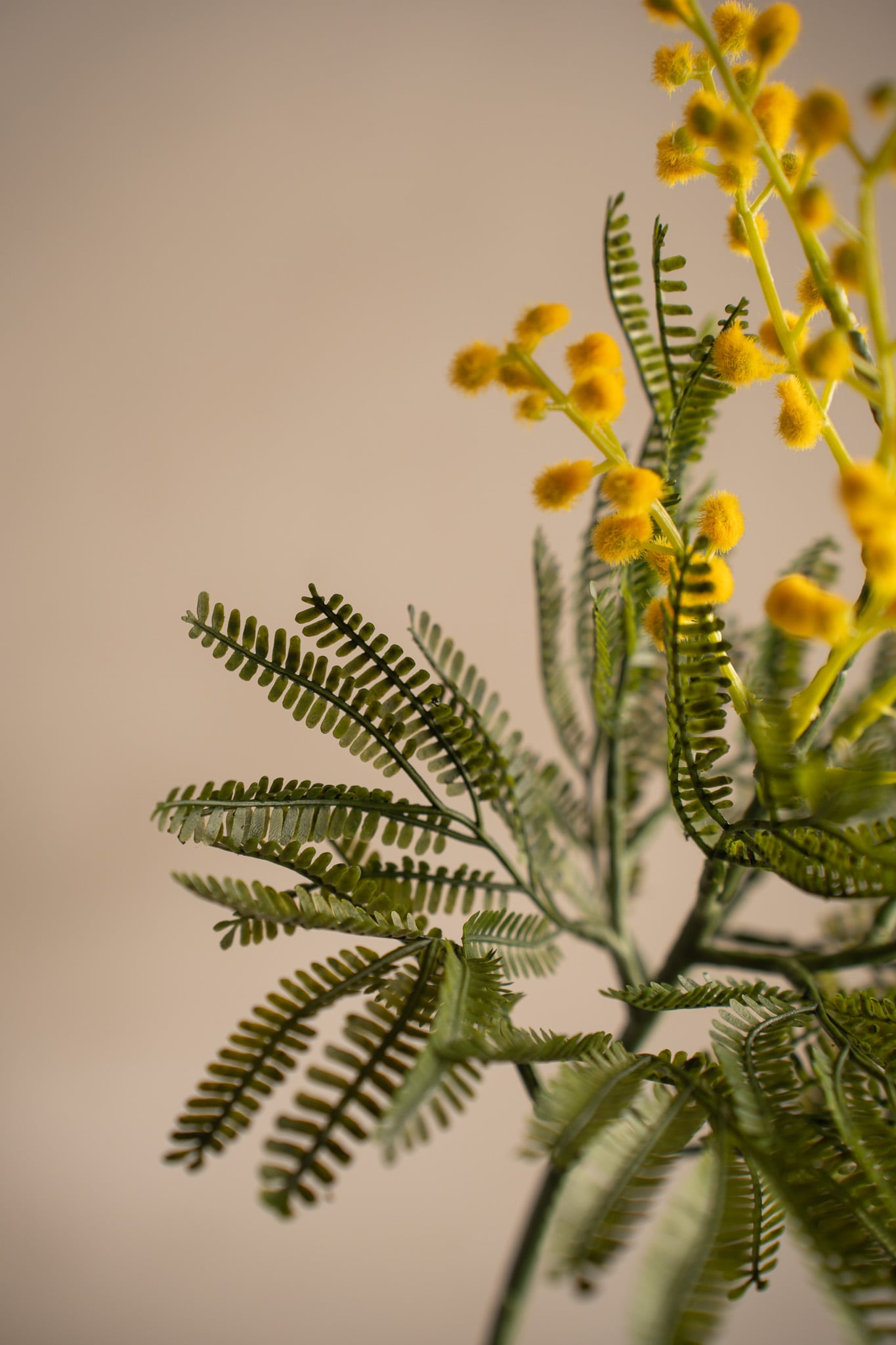 Konstgjord gul Mimosa 68cm