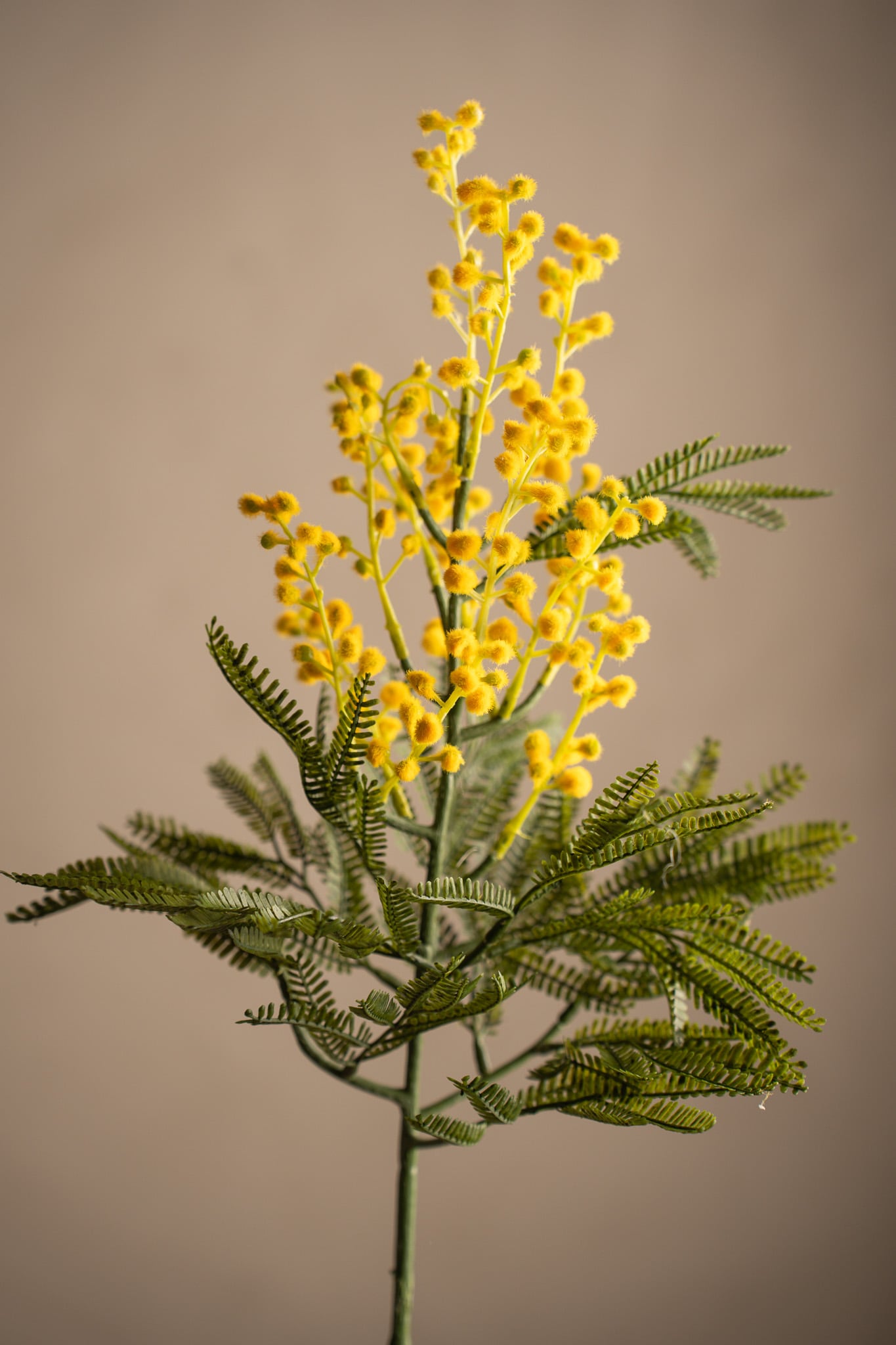Konstgjord gul Mimosa 68cm