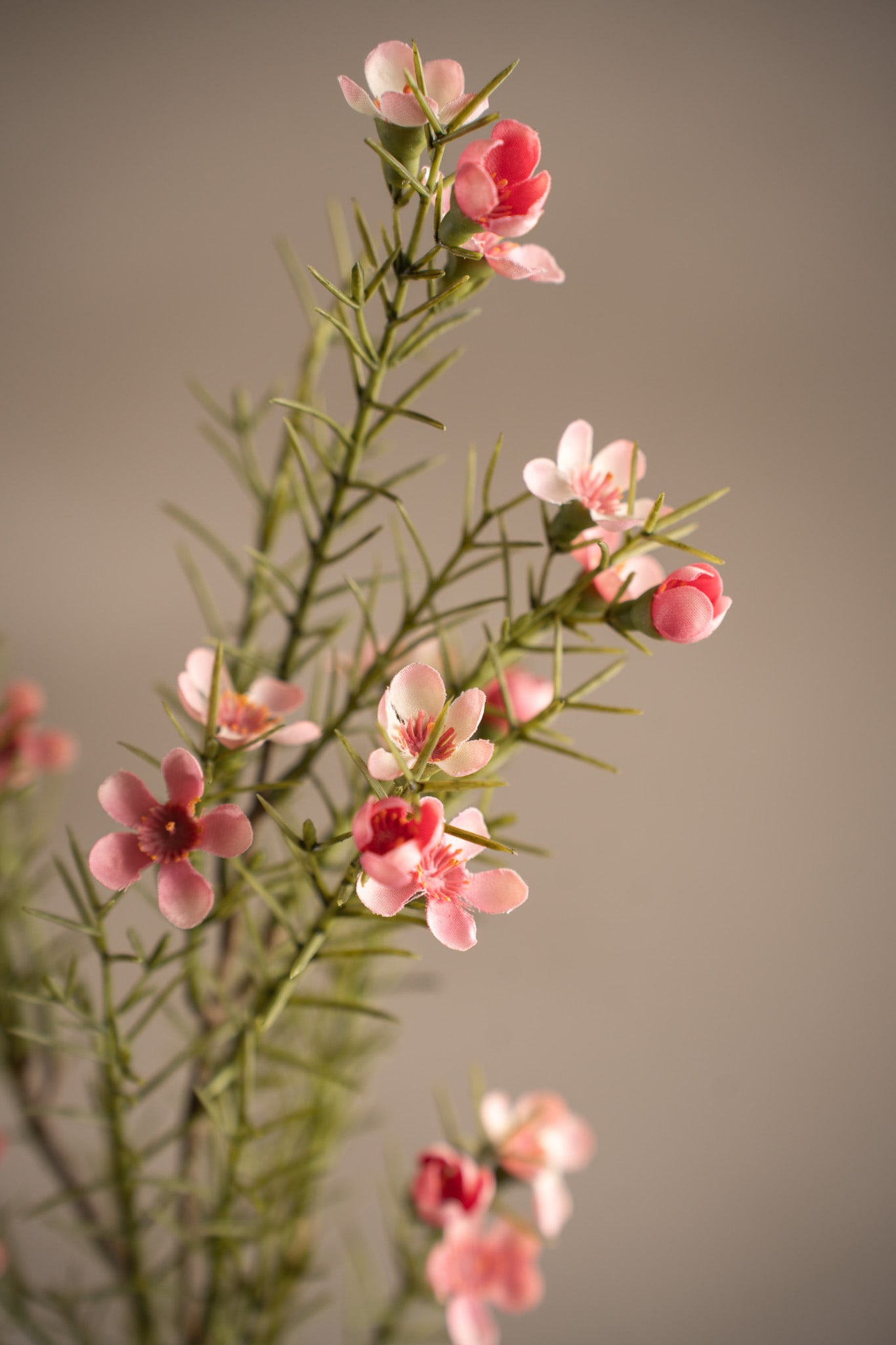 Konstgjord rosa Vaxblomma 60cm