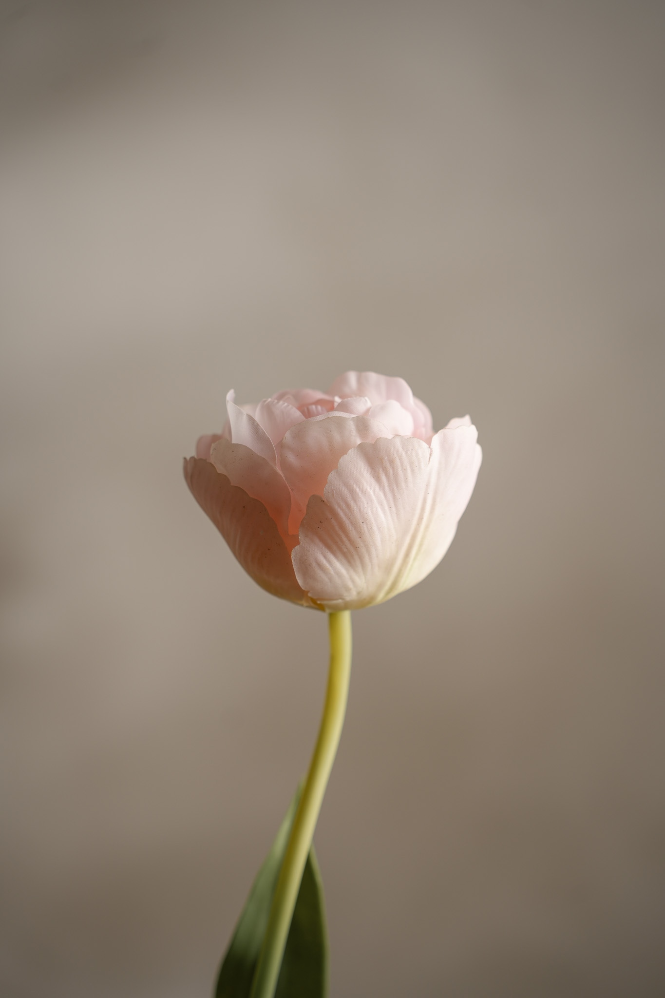 Konstgjord rosa Tulpan 67cm