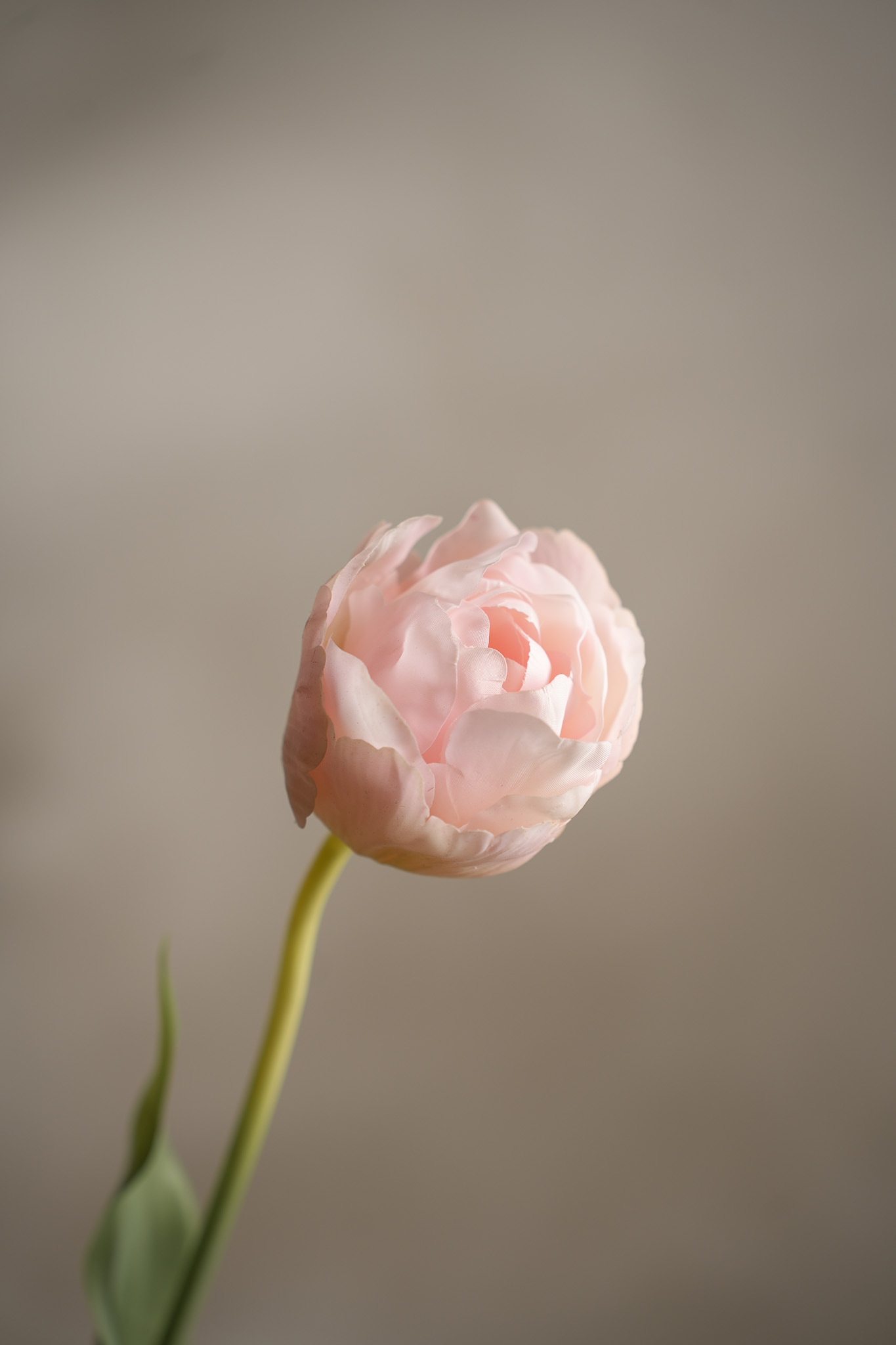 Konstgjord rosa Tulpan 67cm