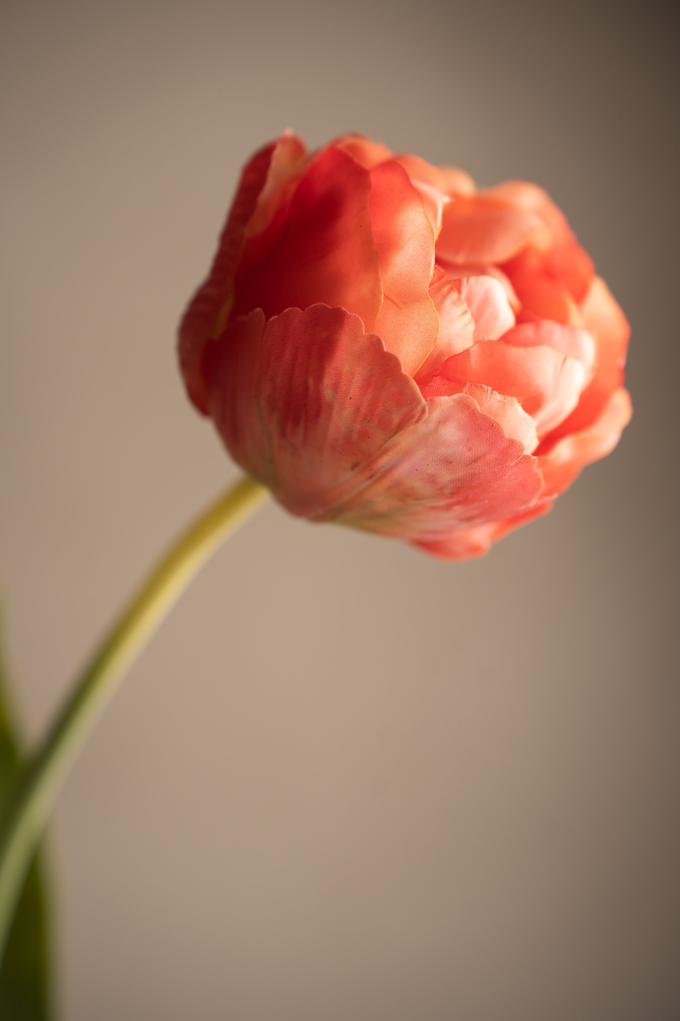 Konstgjord rosa Tulpan 67cm