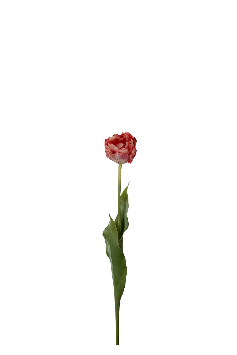 Konstgjord rosa Tulpan 67cm