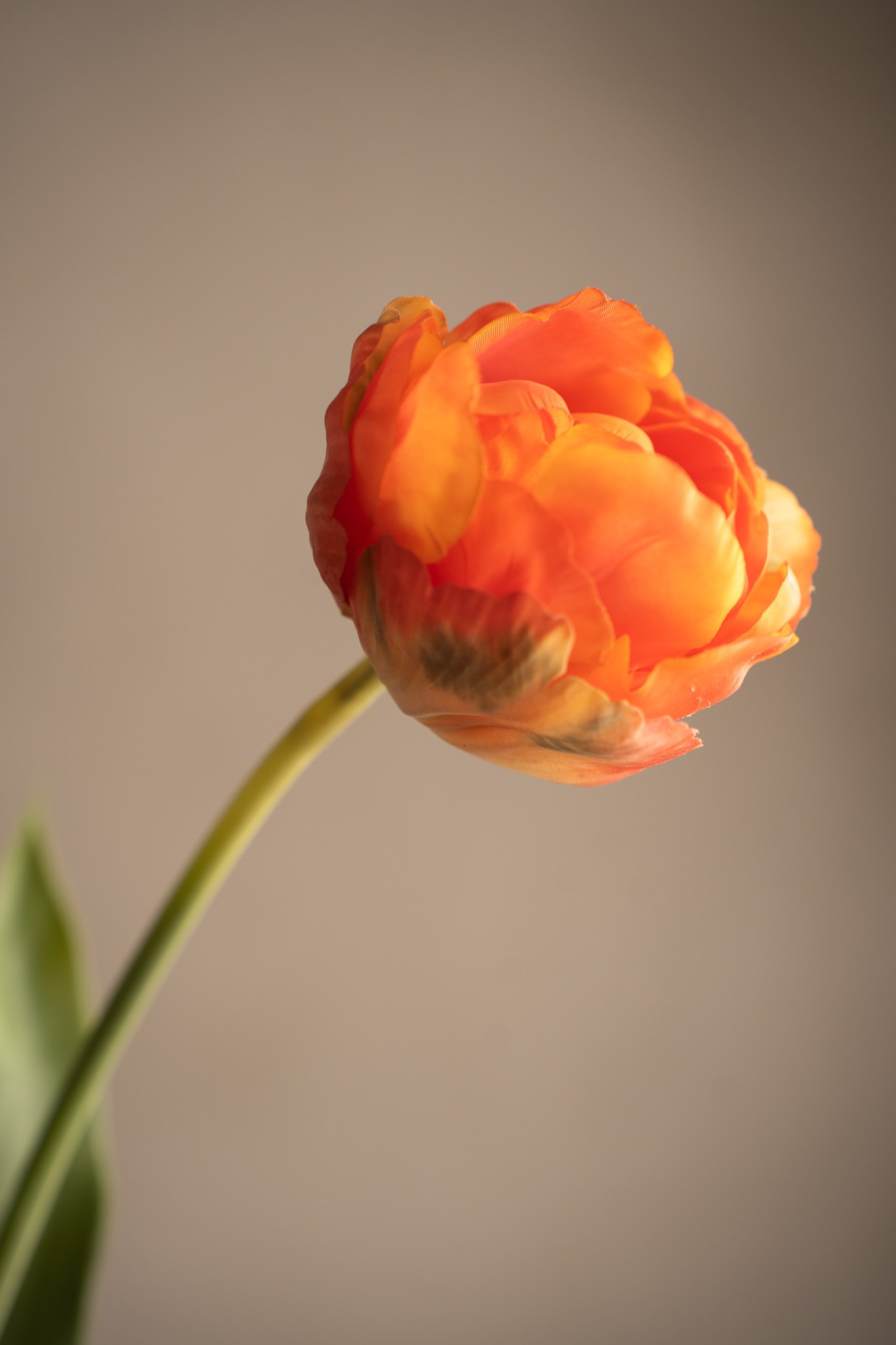 Konstgjord orange Tulpan 67cm