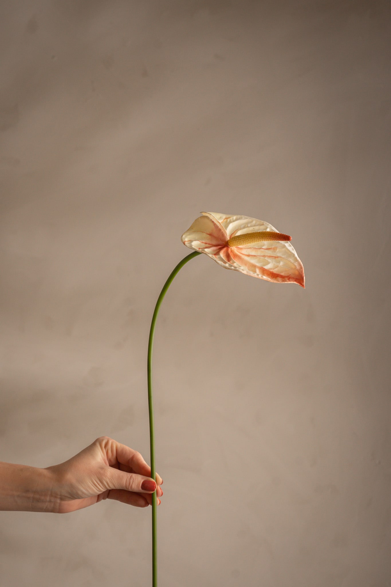 Konstgjord rosa Anthurium 65cm