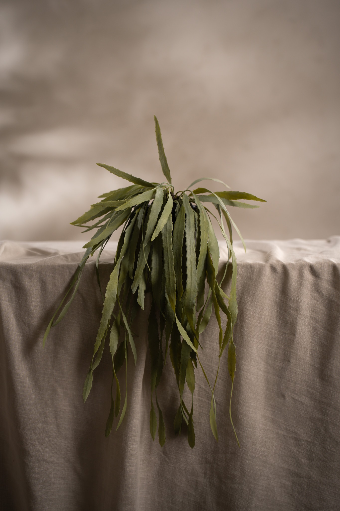 Konstgjord grön Rhipsalis 15cm
