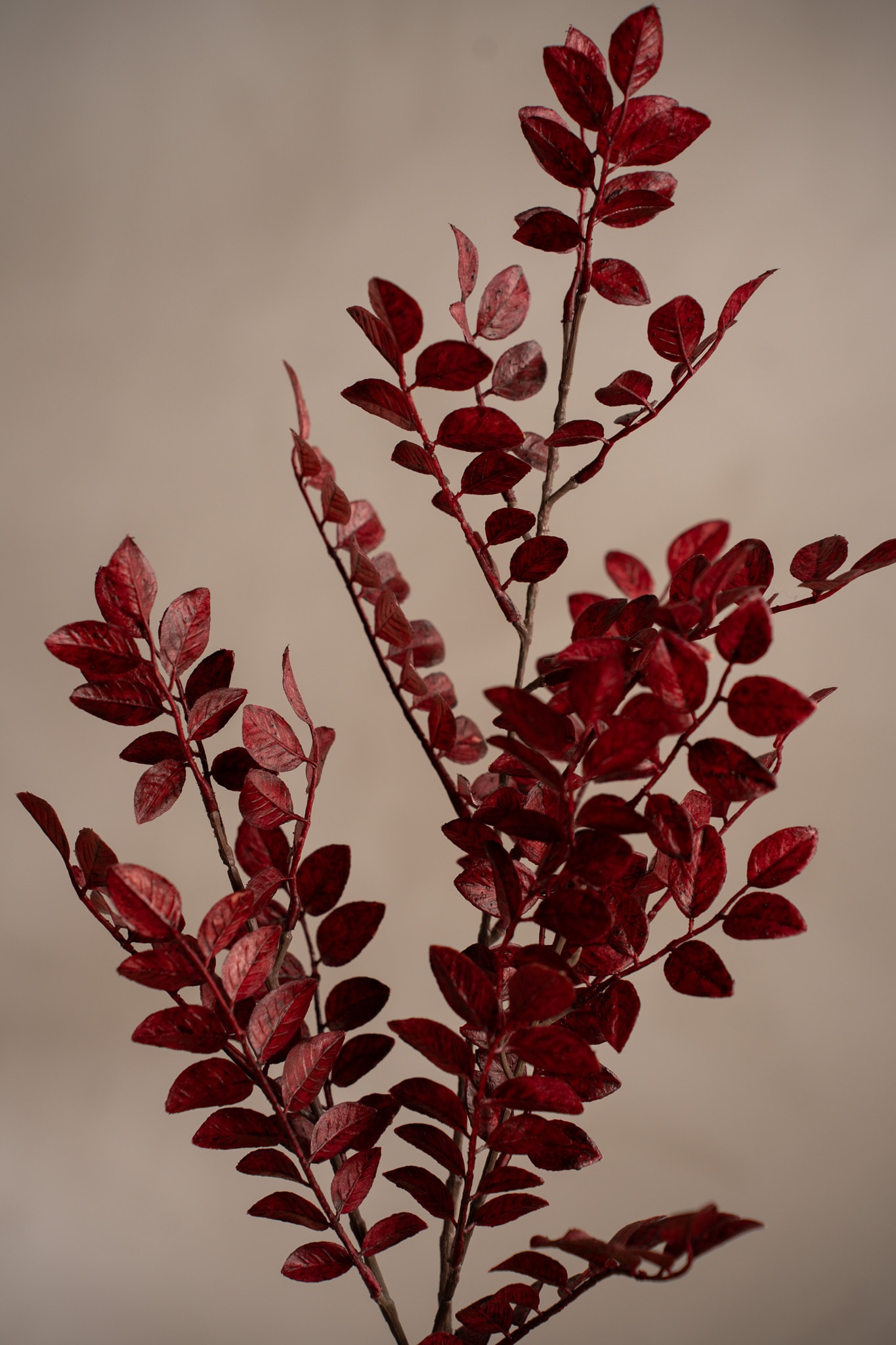 Konstgjord röd Ruscus 95cm
