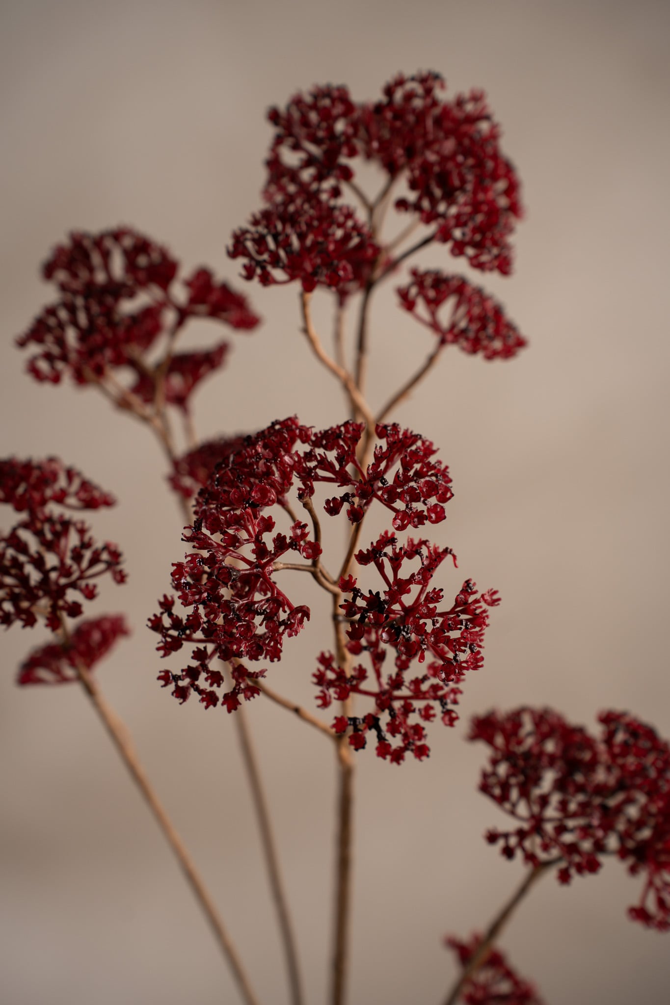 Konstgjord burgundy Röllika 90cm