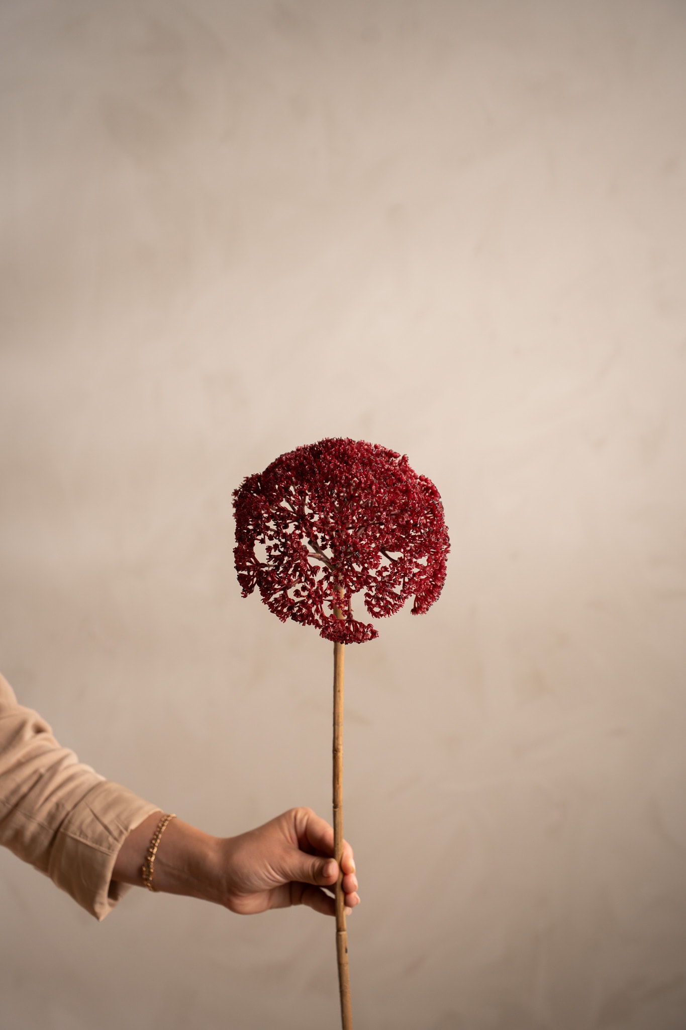Konstgjord burgundy Röllika 80cm
