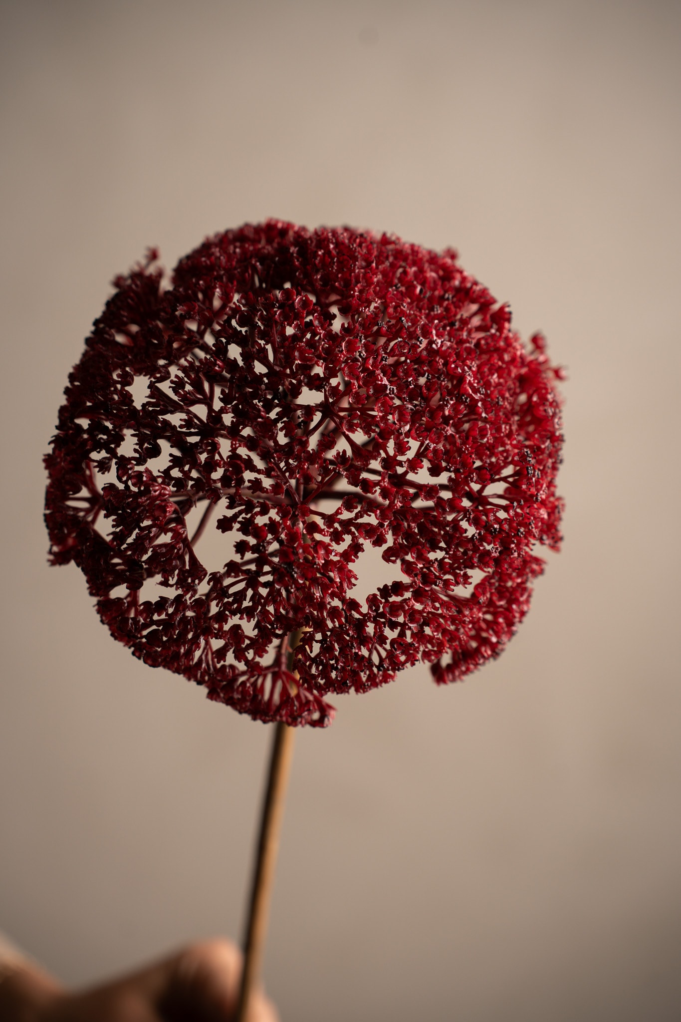 Konstgjord burgundy Röllika 80cm