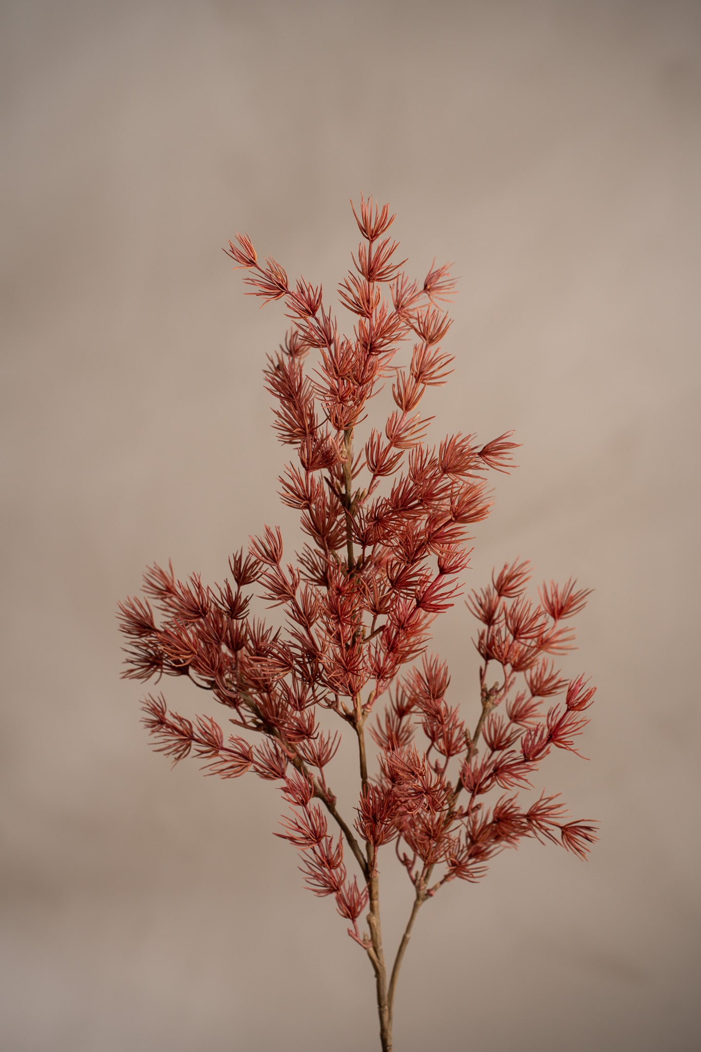 Konstgjord rosa Asparagus 75cm