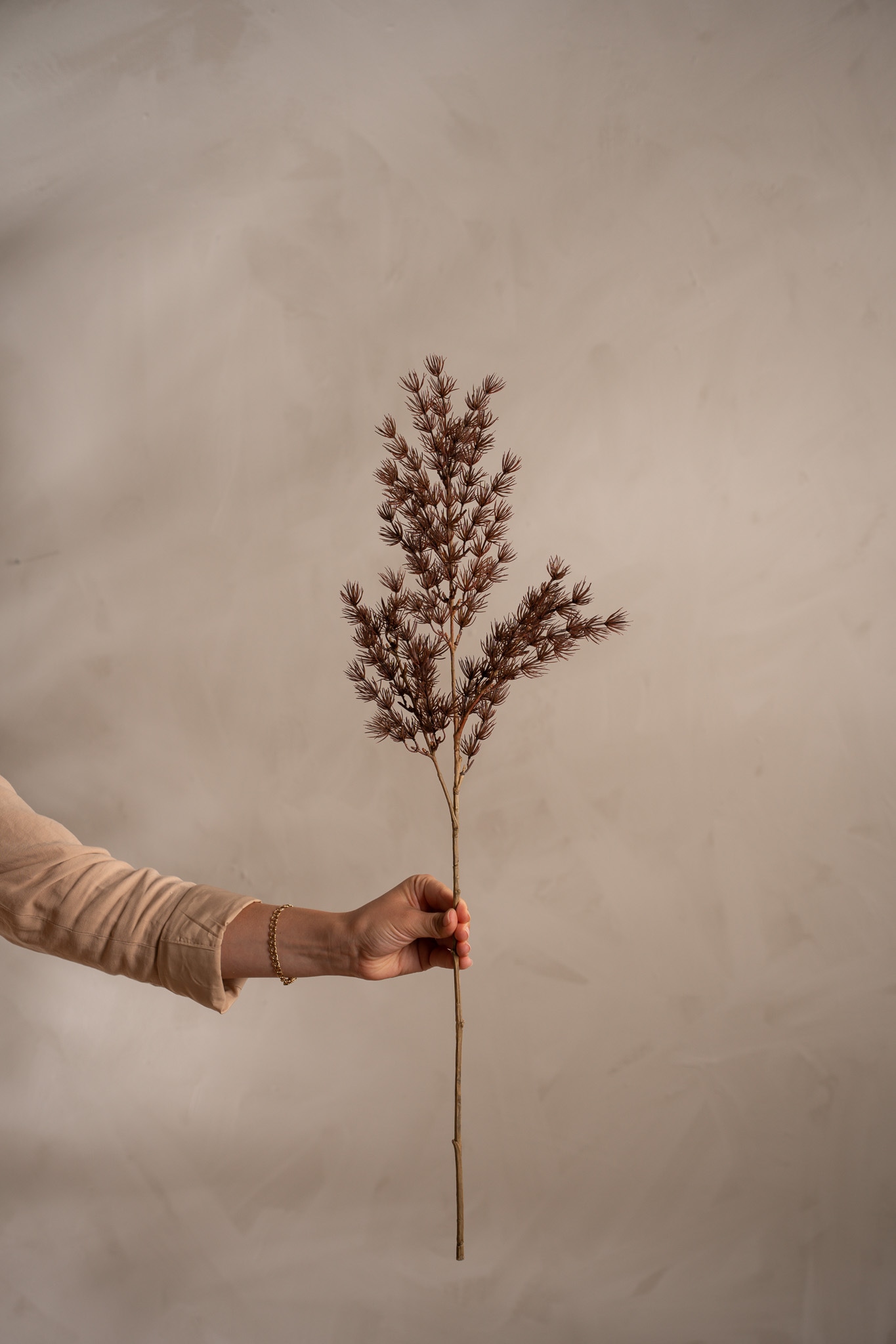 Konstgjord brun Asparagus 75cm