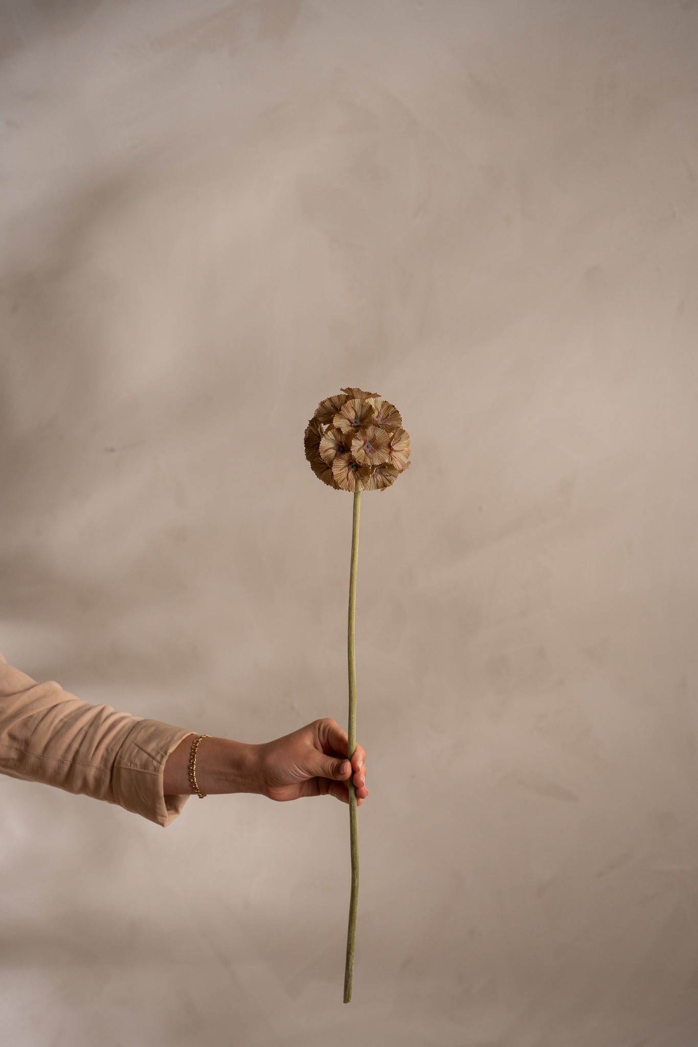 Konstgjord grön Scabiosa 60cm
