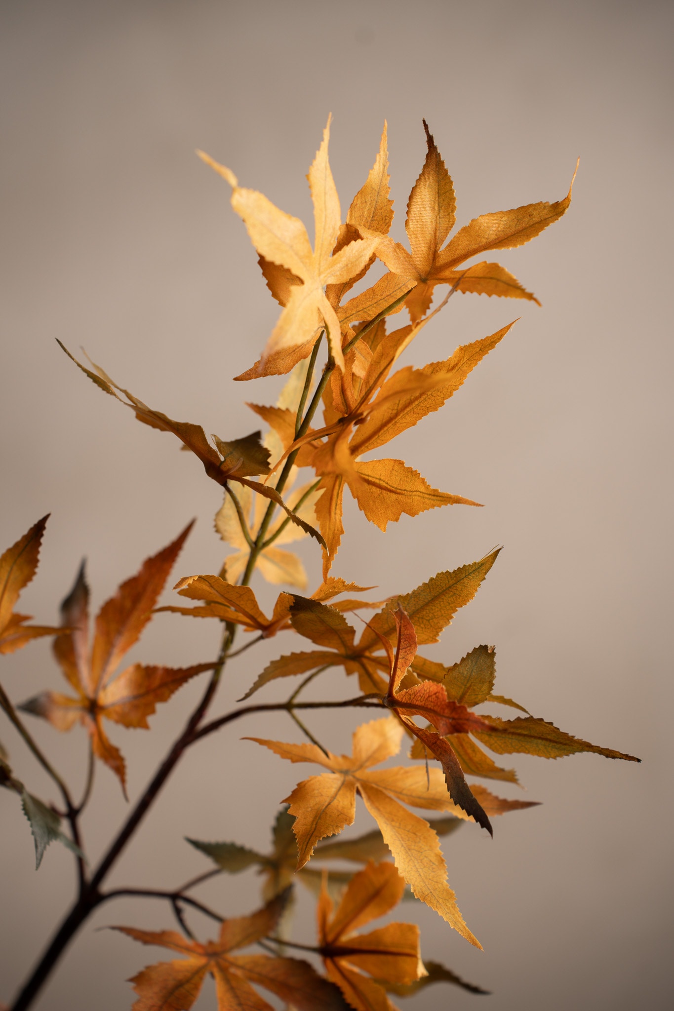 Konstgjord orange Lönnkvist 72cm