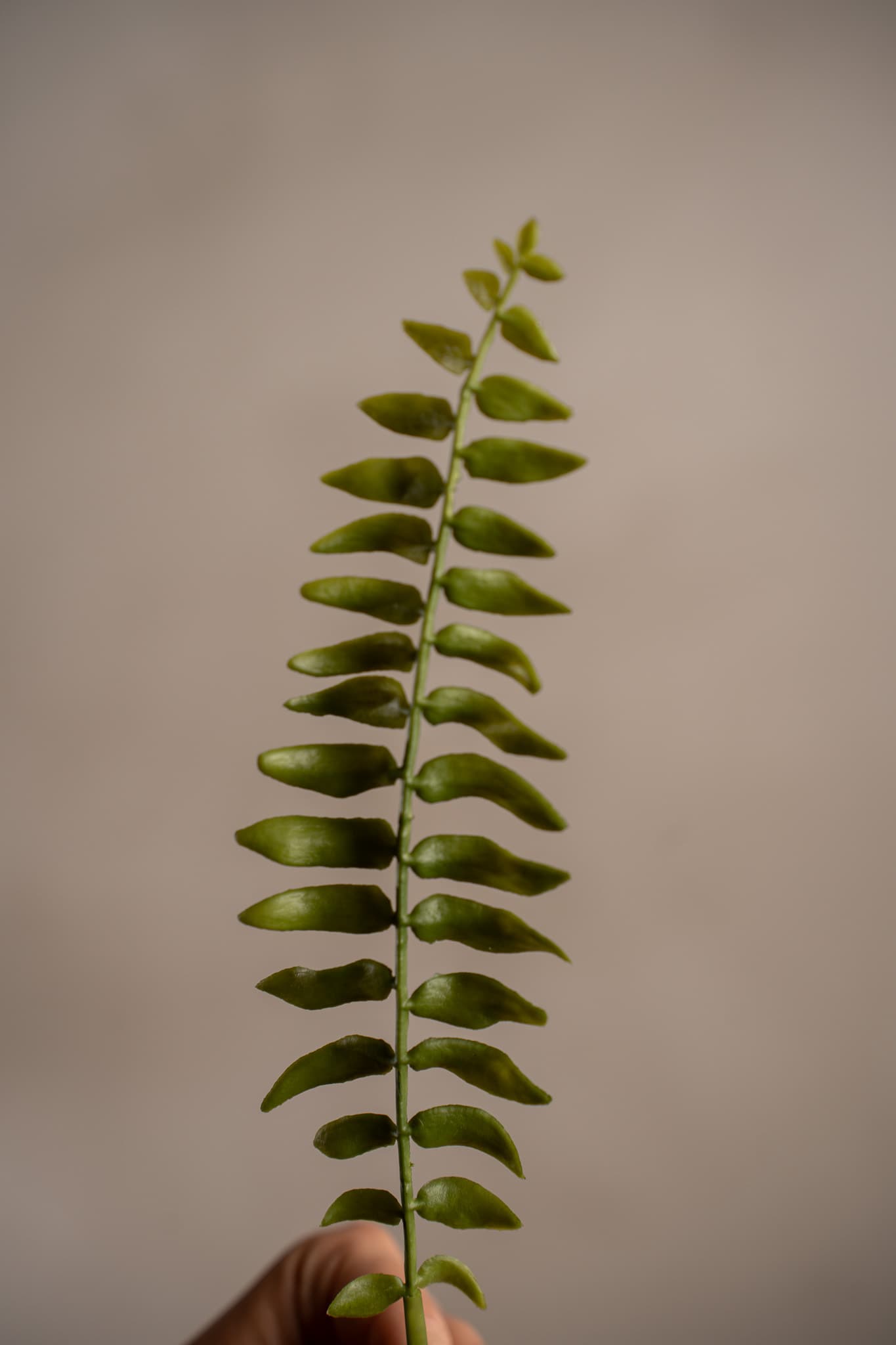 Konstgjord grön Ormbunksblad 35cm