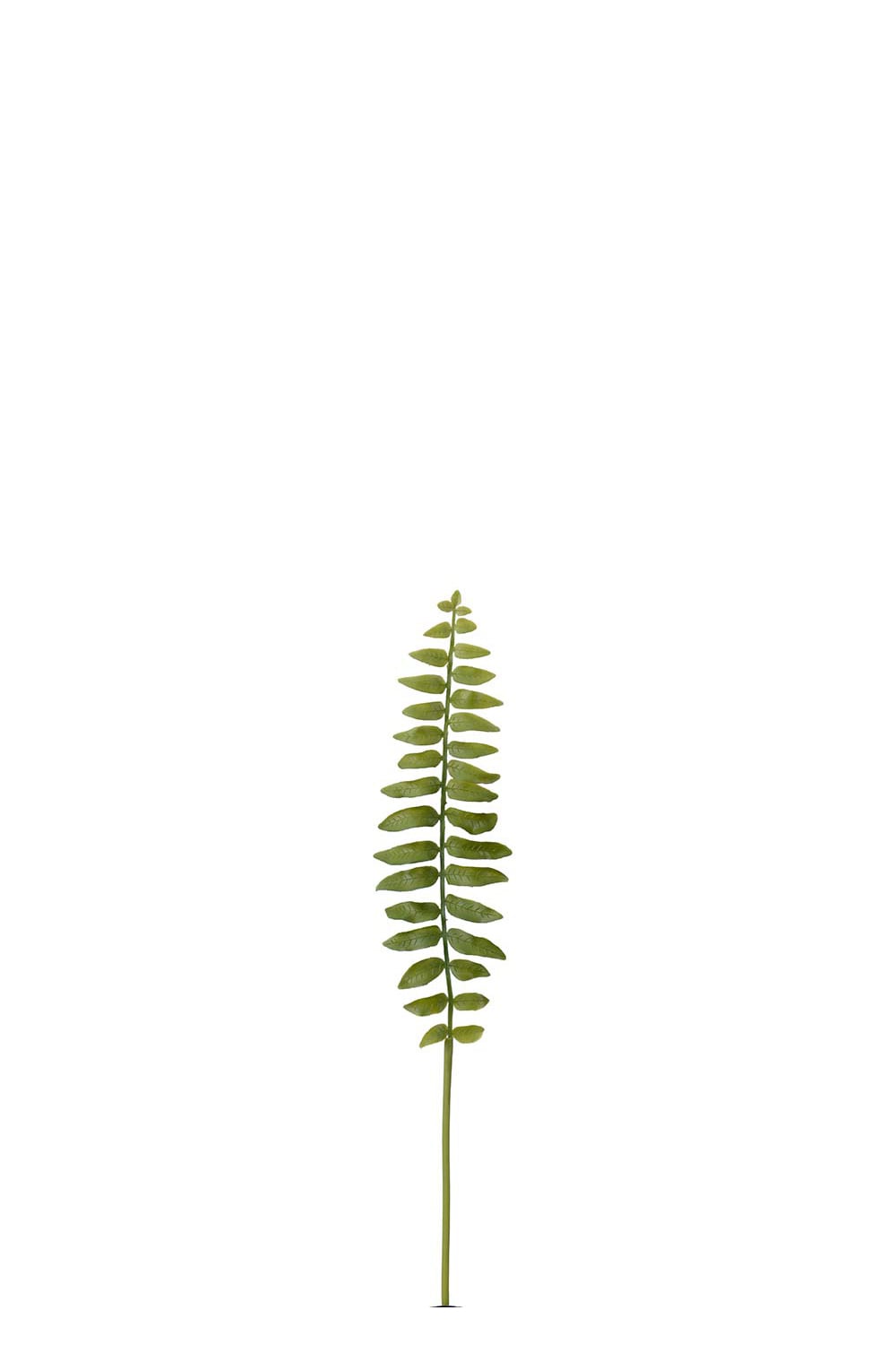 Konstgjord grön Ormbunksblad 35cm