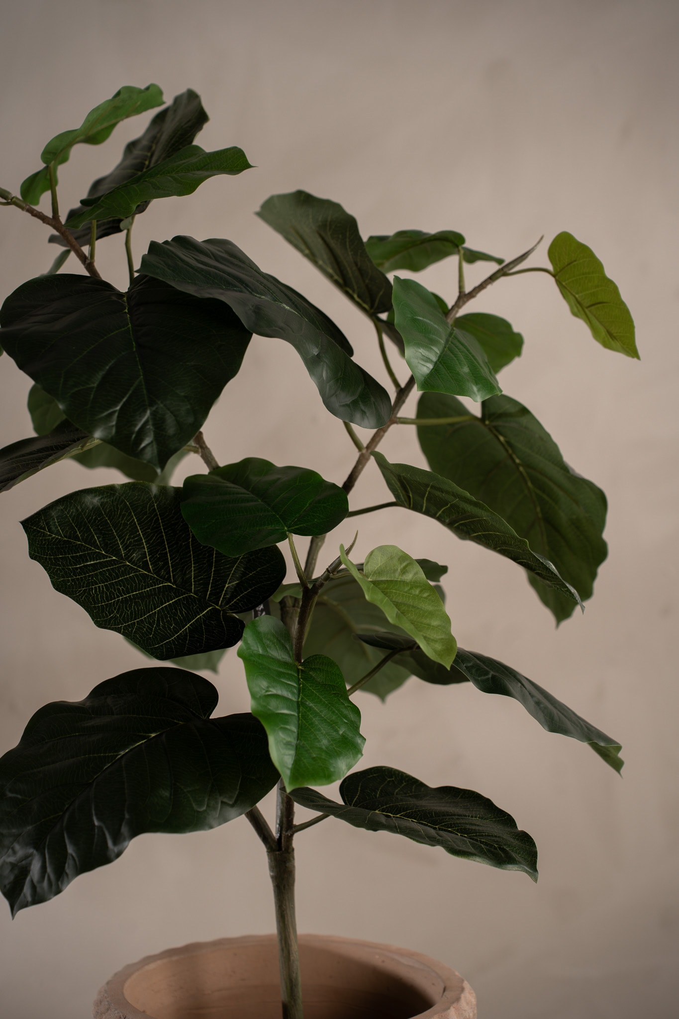 Konstgjord grön Fikus Umbrella 75cm