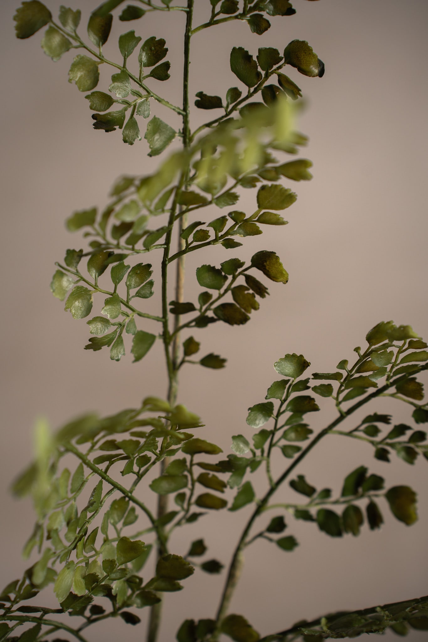 Konstgjord grön Adiantum 80cm