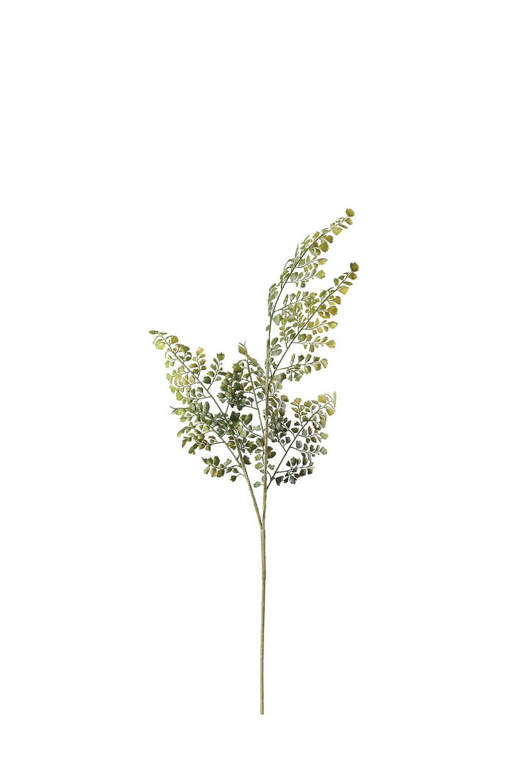 Konstgjord grön Adiantum 80cm