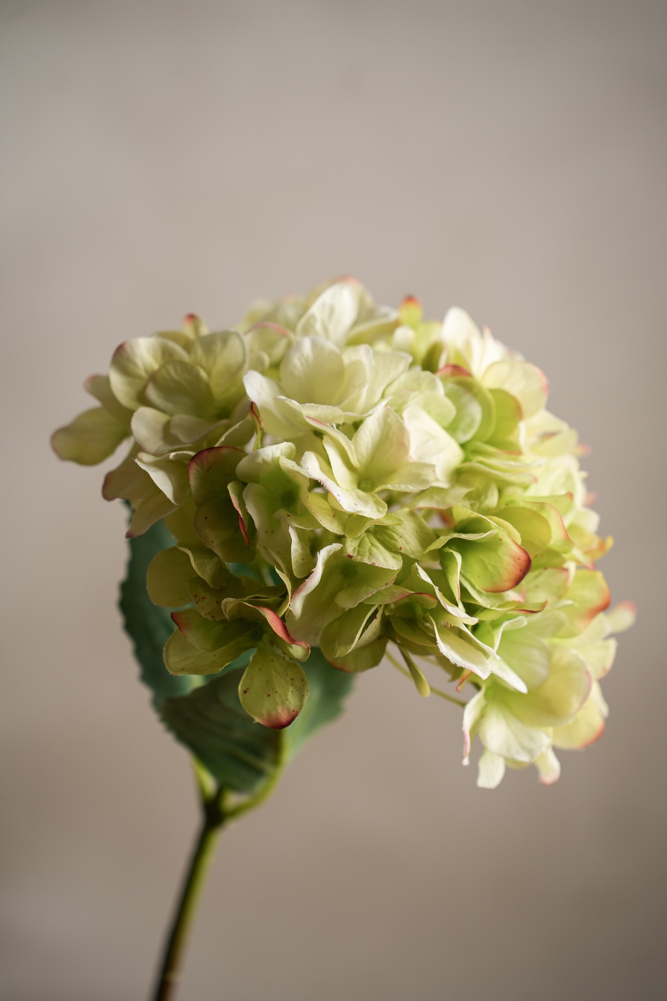 Konstgjord grön Hortensia 48cm