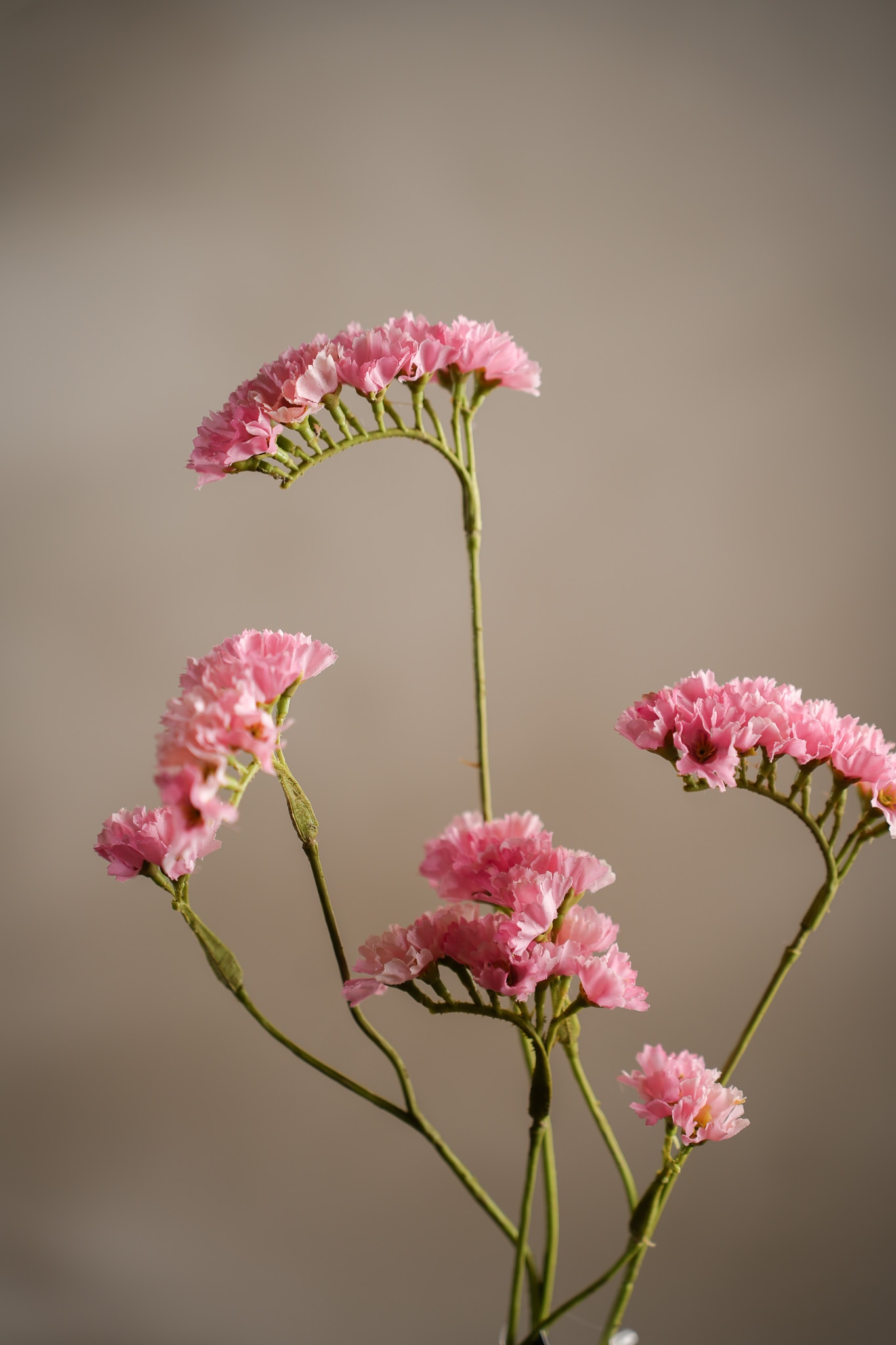 Konstgjord rosa Statice 90cm