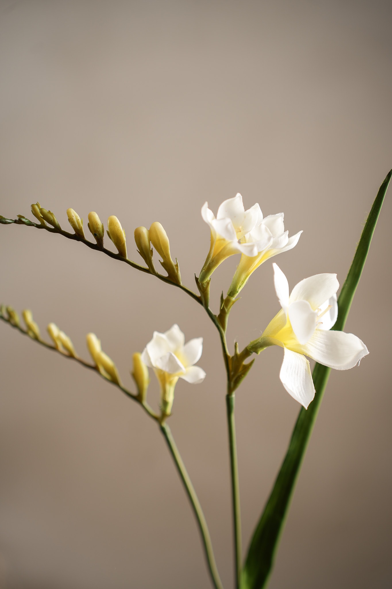 Konstgjord vit Freesia 60cm