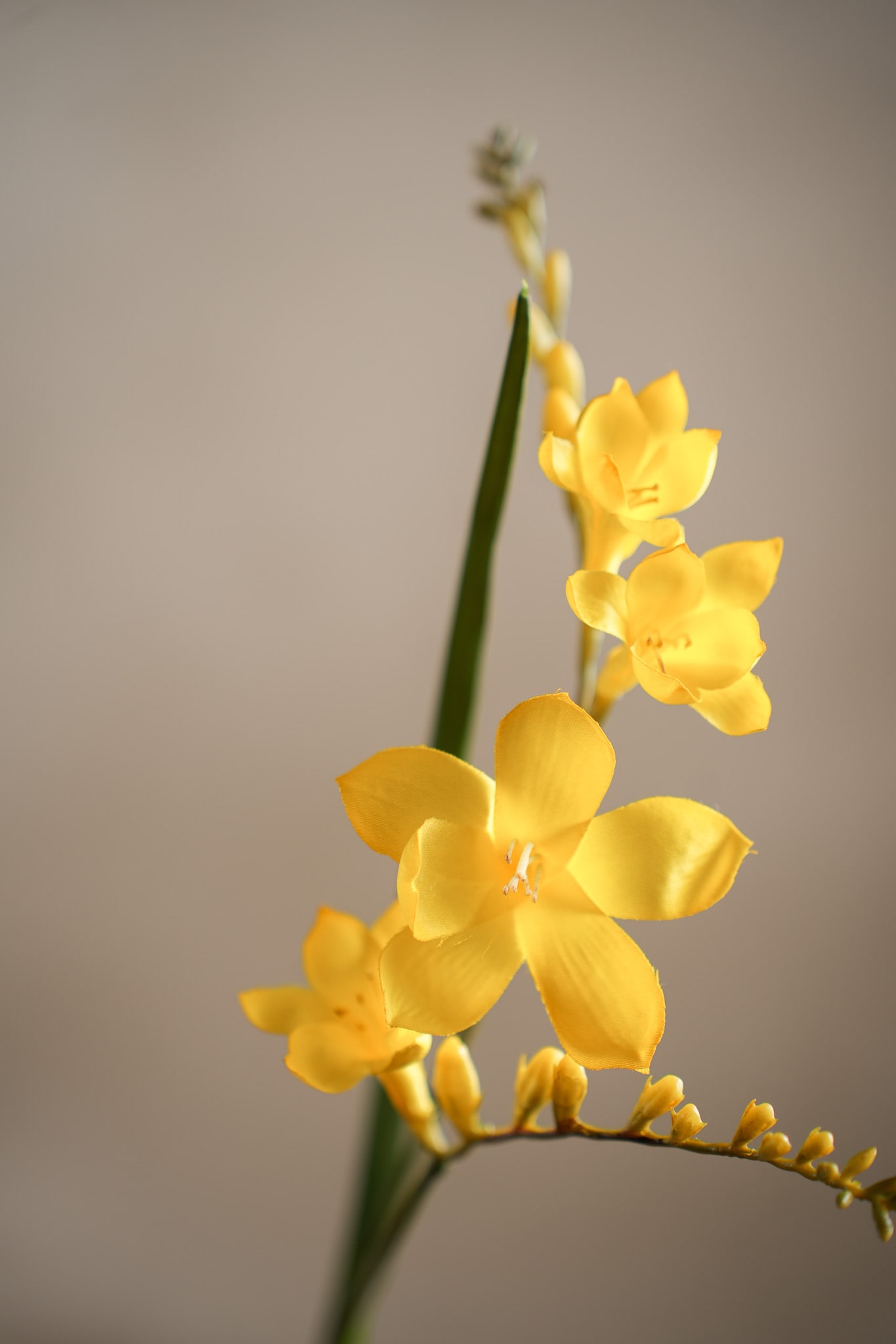 Konstgjord gul Freesia 60cm