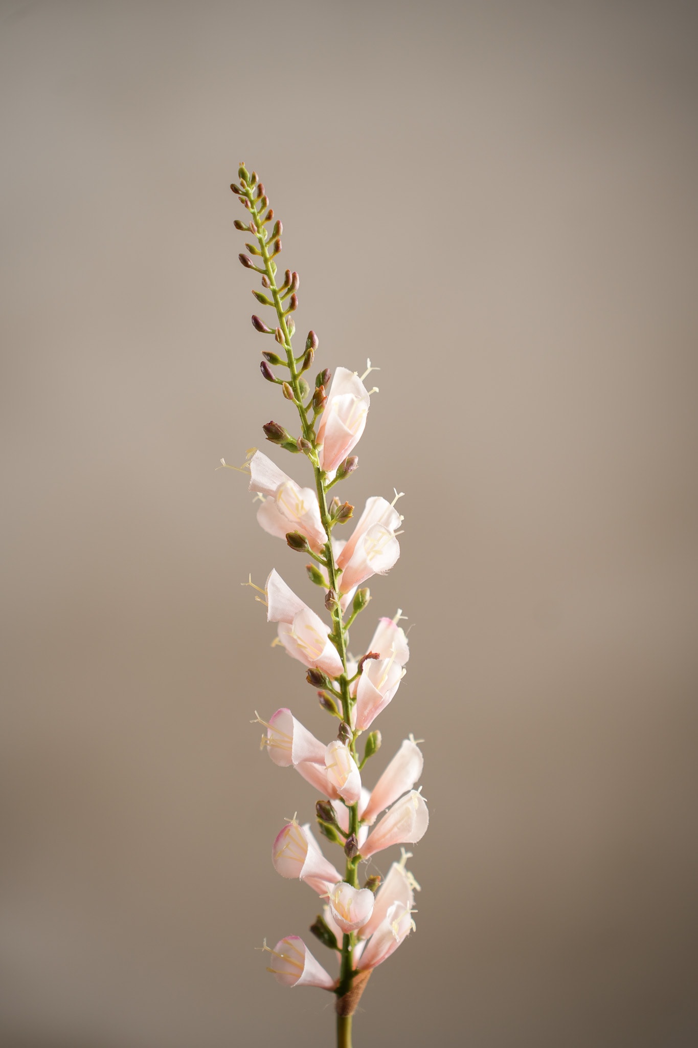 Konstgjord rosa Digitalis 60cm