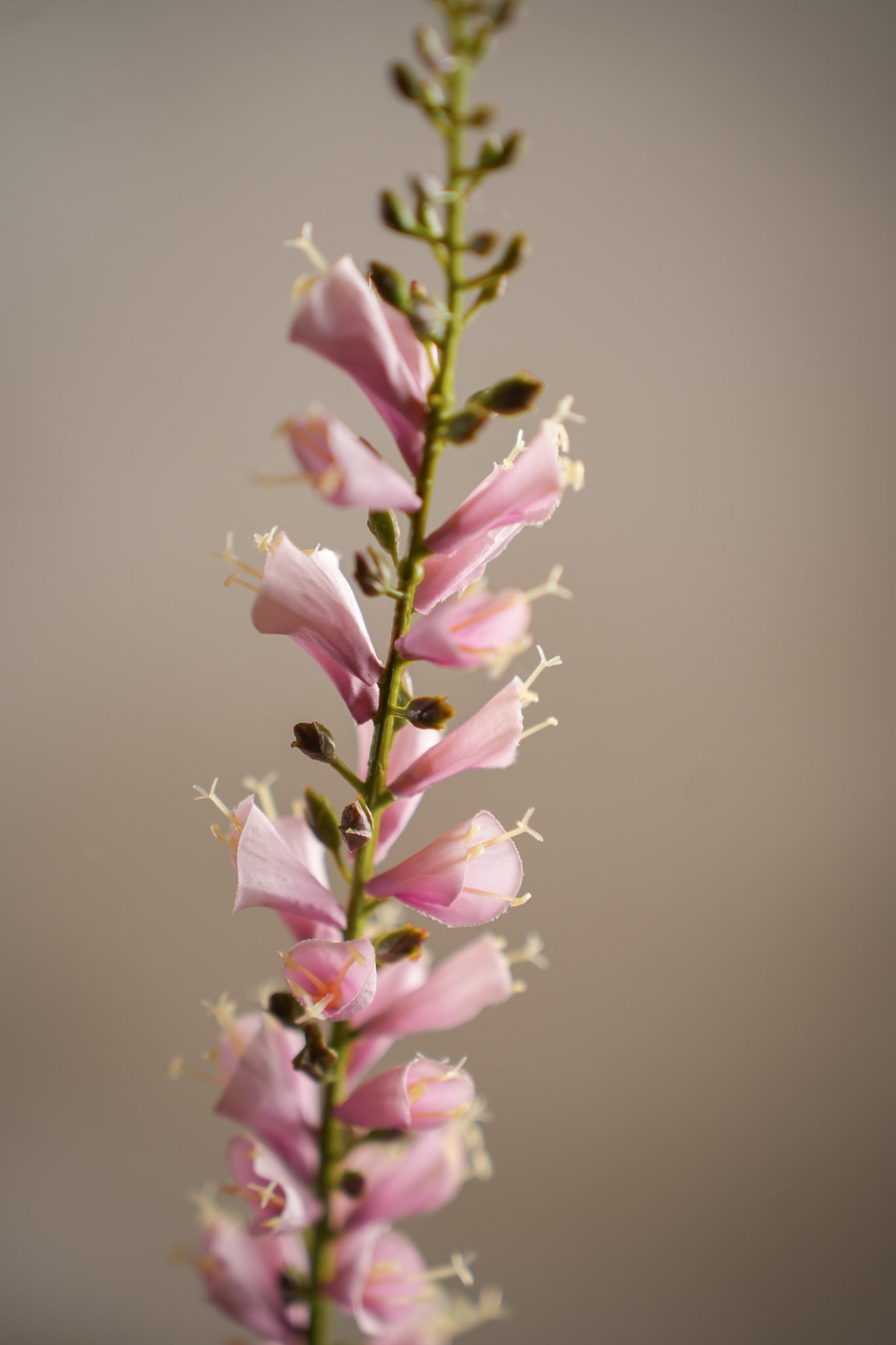 Konstgjord rosa Digitalis 60cm