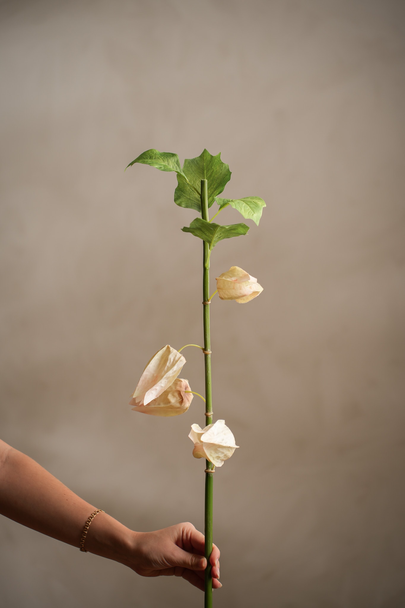 Konstgjord flerfärgad Physalis 85cm
