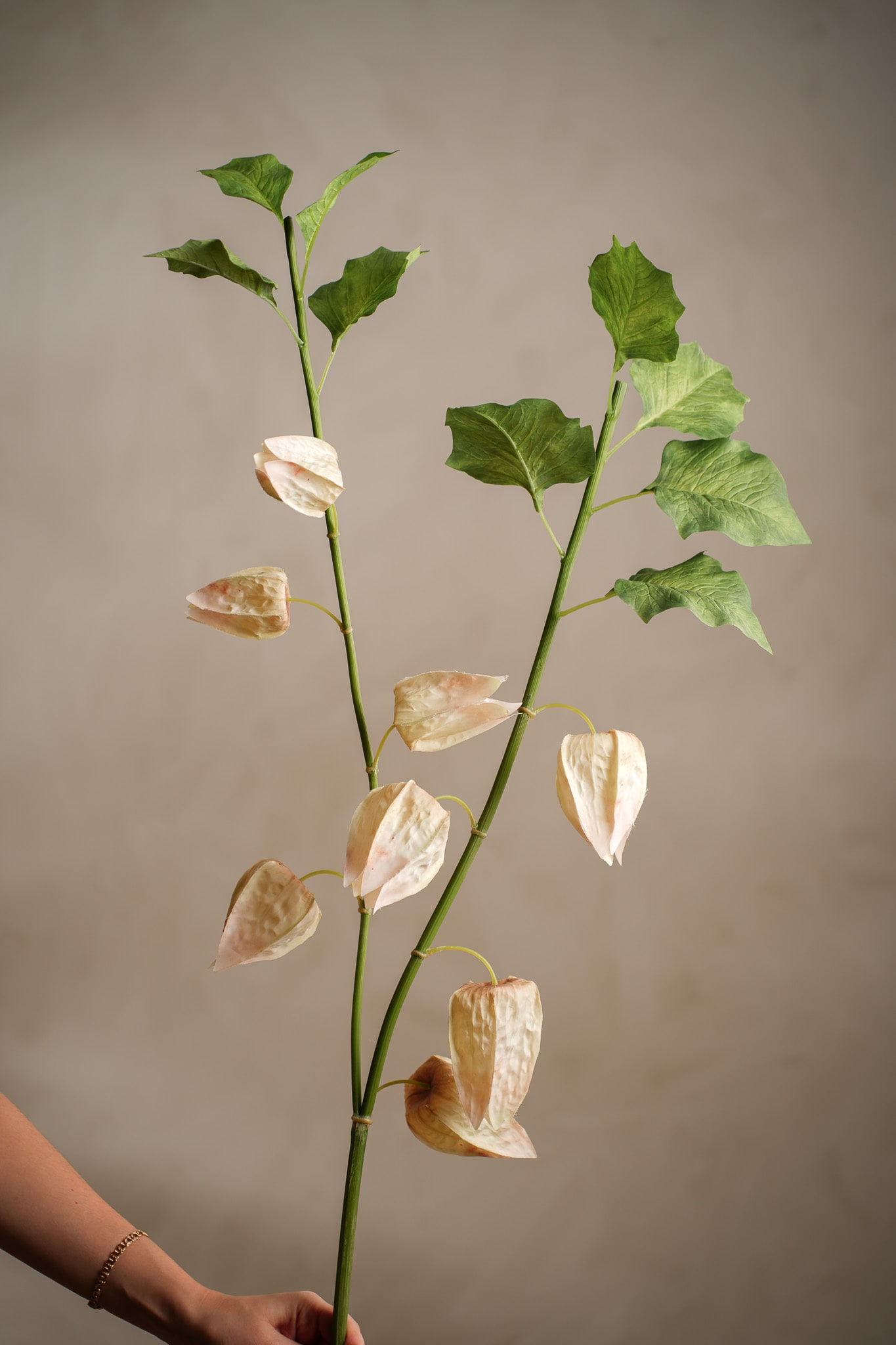 Konstgjord flerfärgad Physalis 120cm
