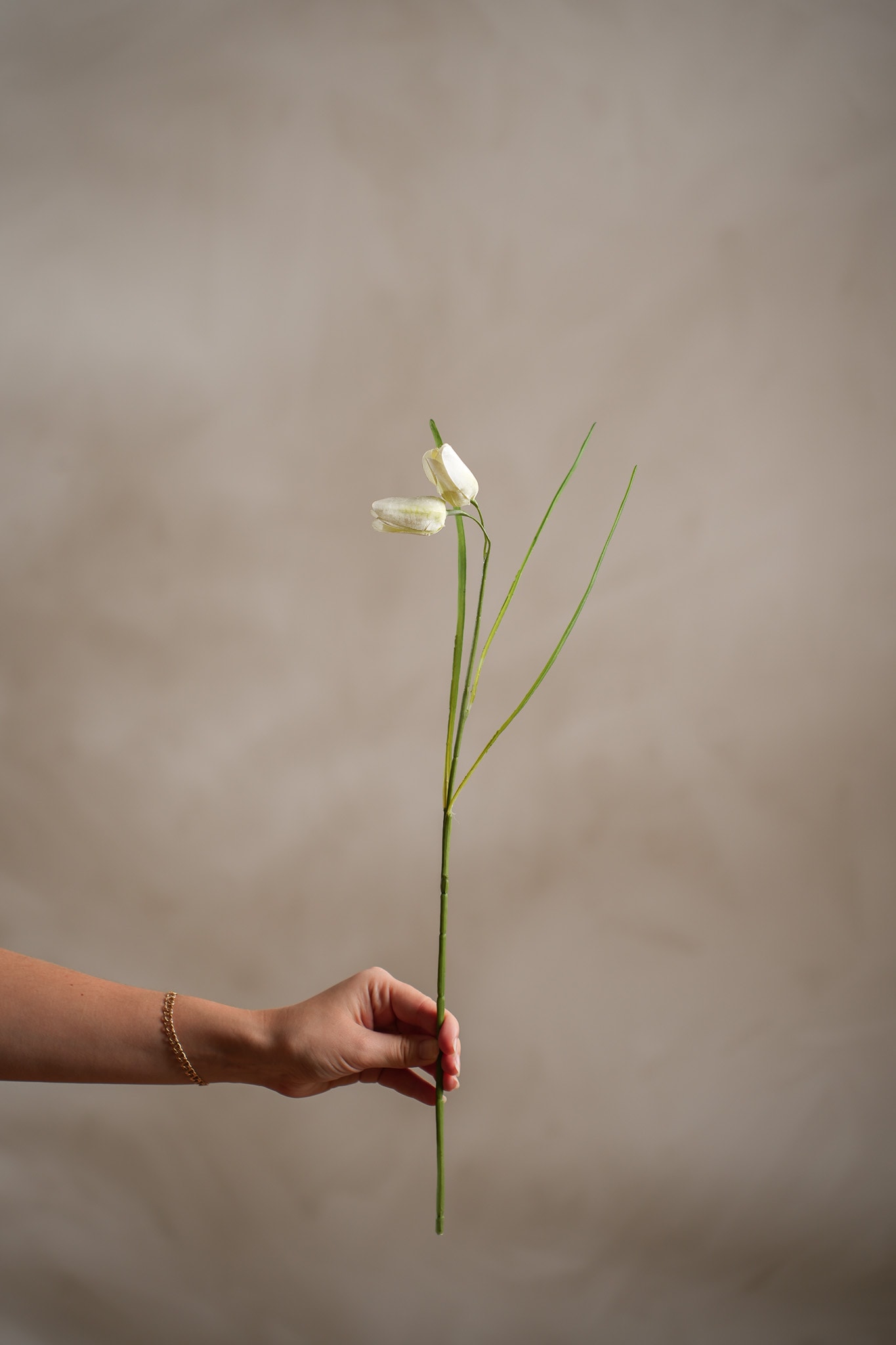 Konstgjord cremefärgad Fritillaria 50cm