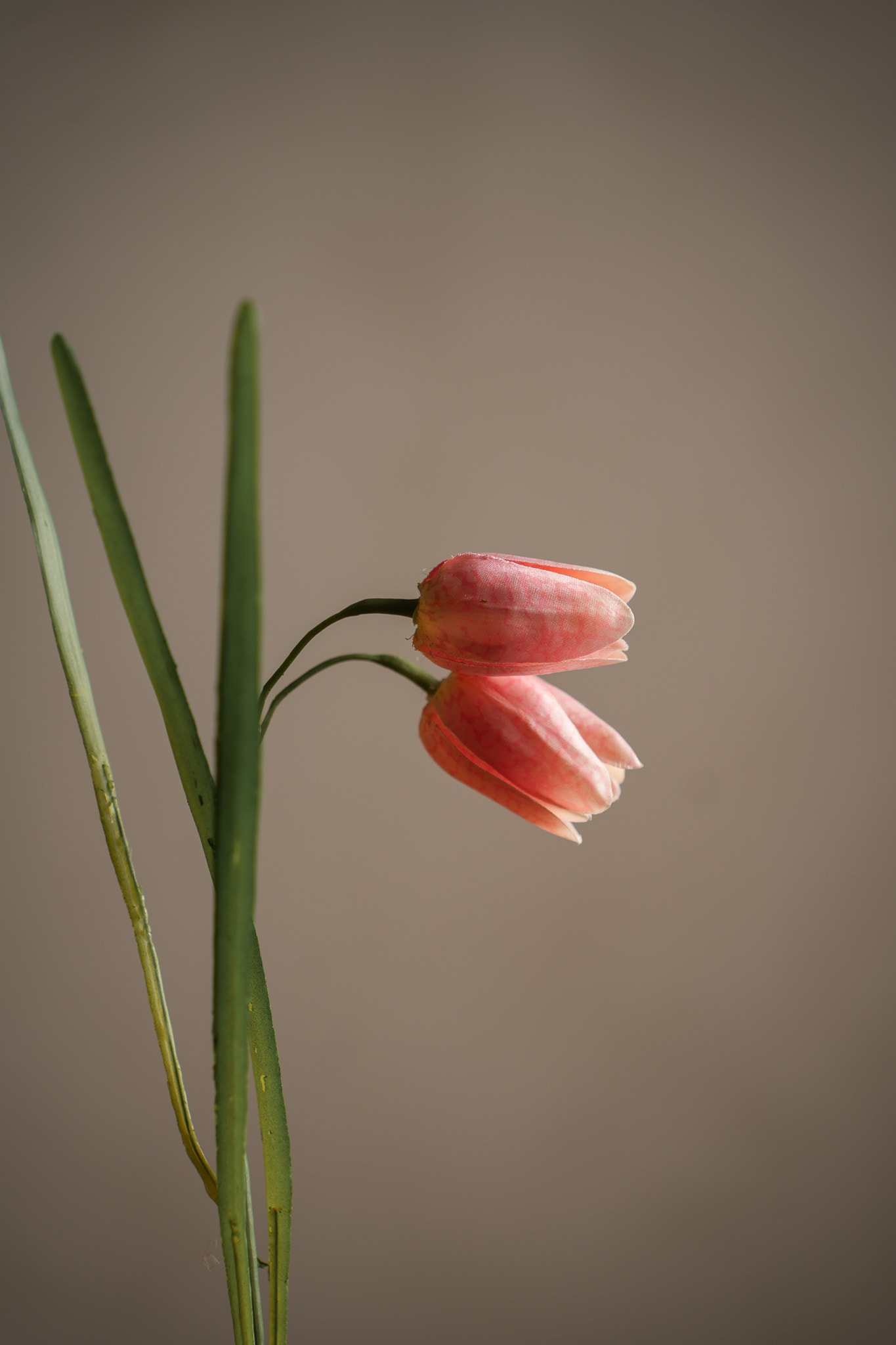 Konstgjord rosa Fritillaria 50cm