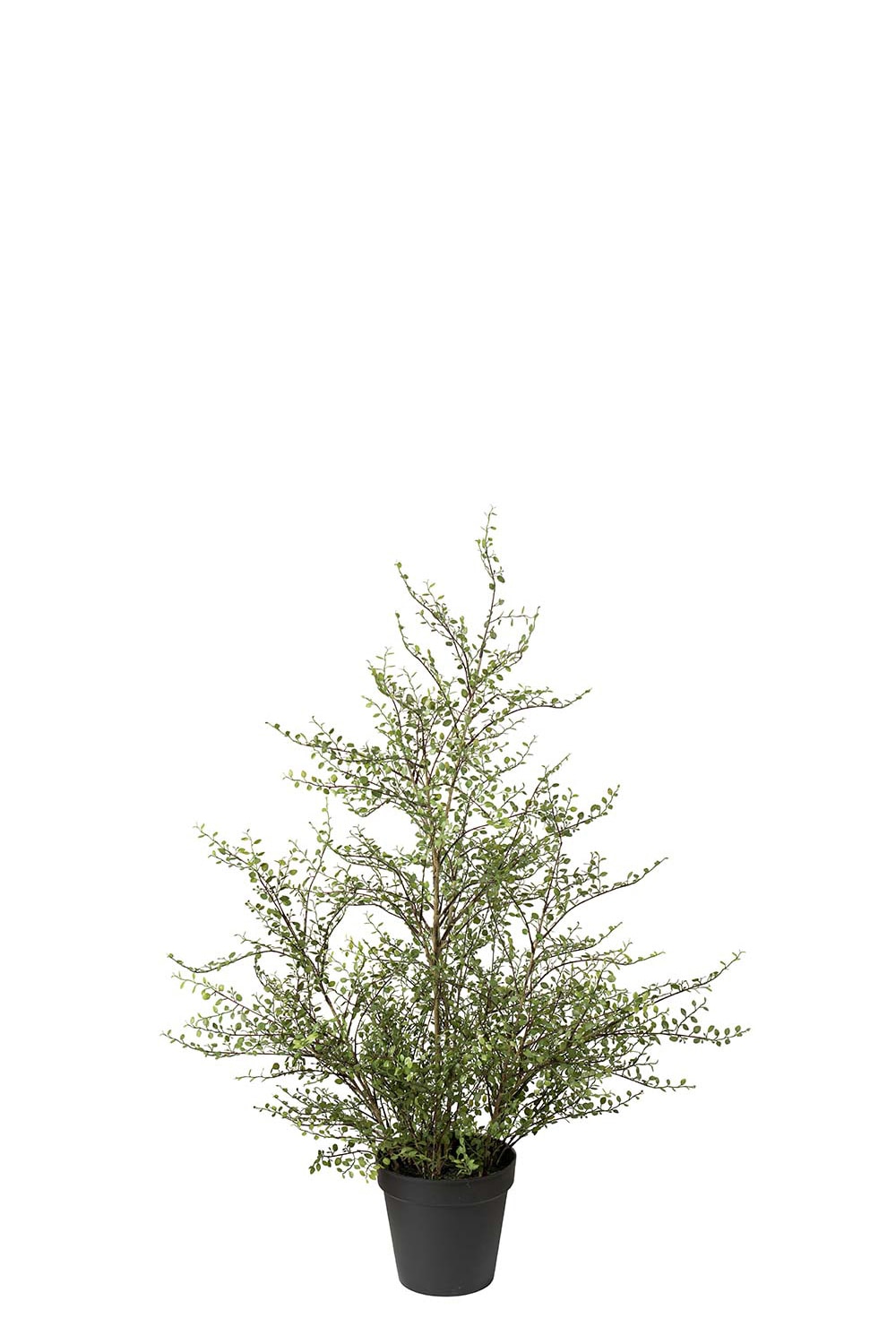 Konstgjord grön Muehlenbeckia 120cm