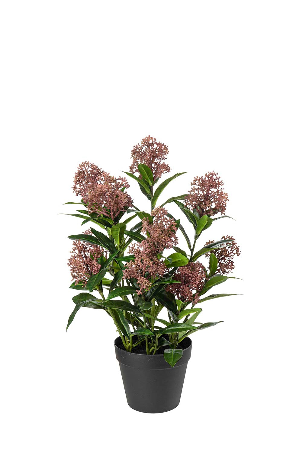 Konstgjord burgundy Skimmia 55cm