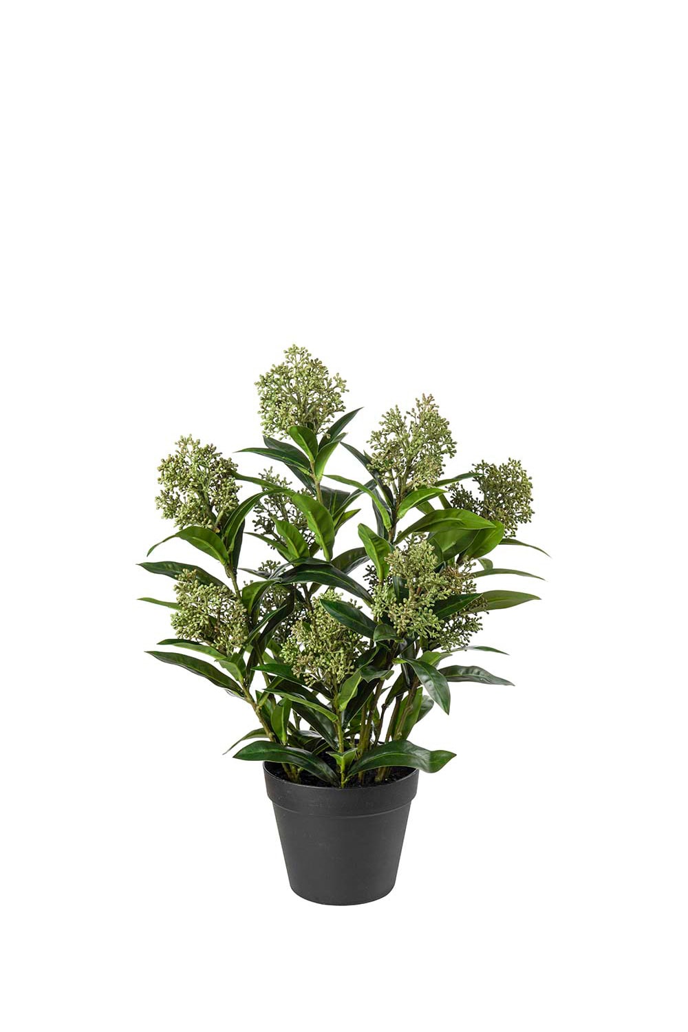 Konstgjord grön Skimmia 55cm