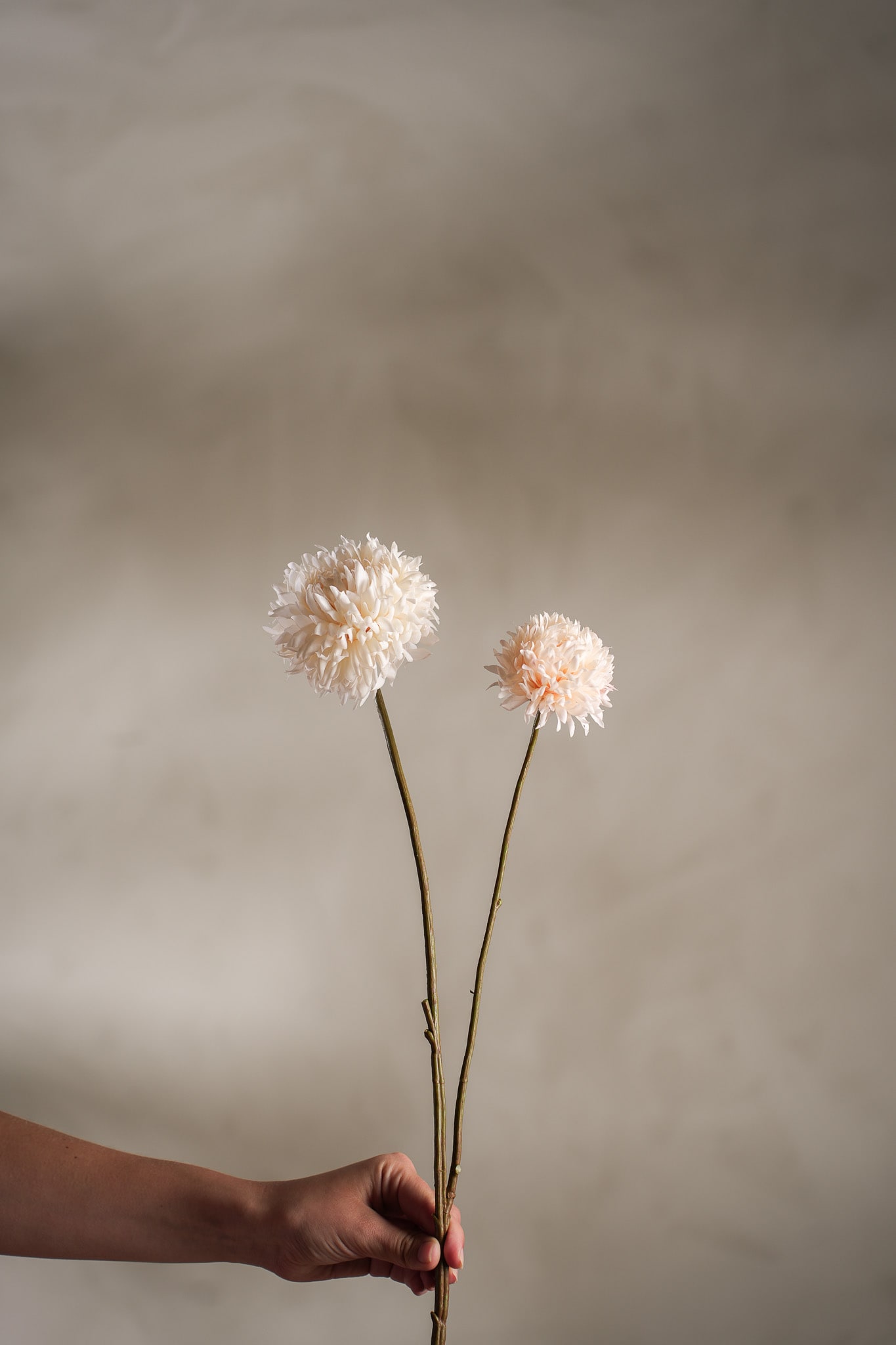 Konstgjord cremefärgad Chrysanthemum 65cm