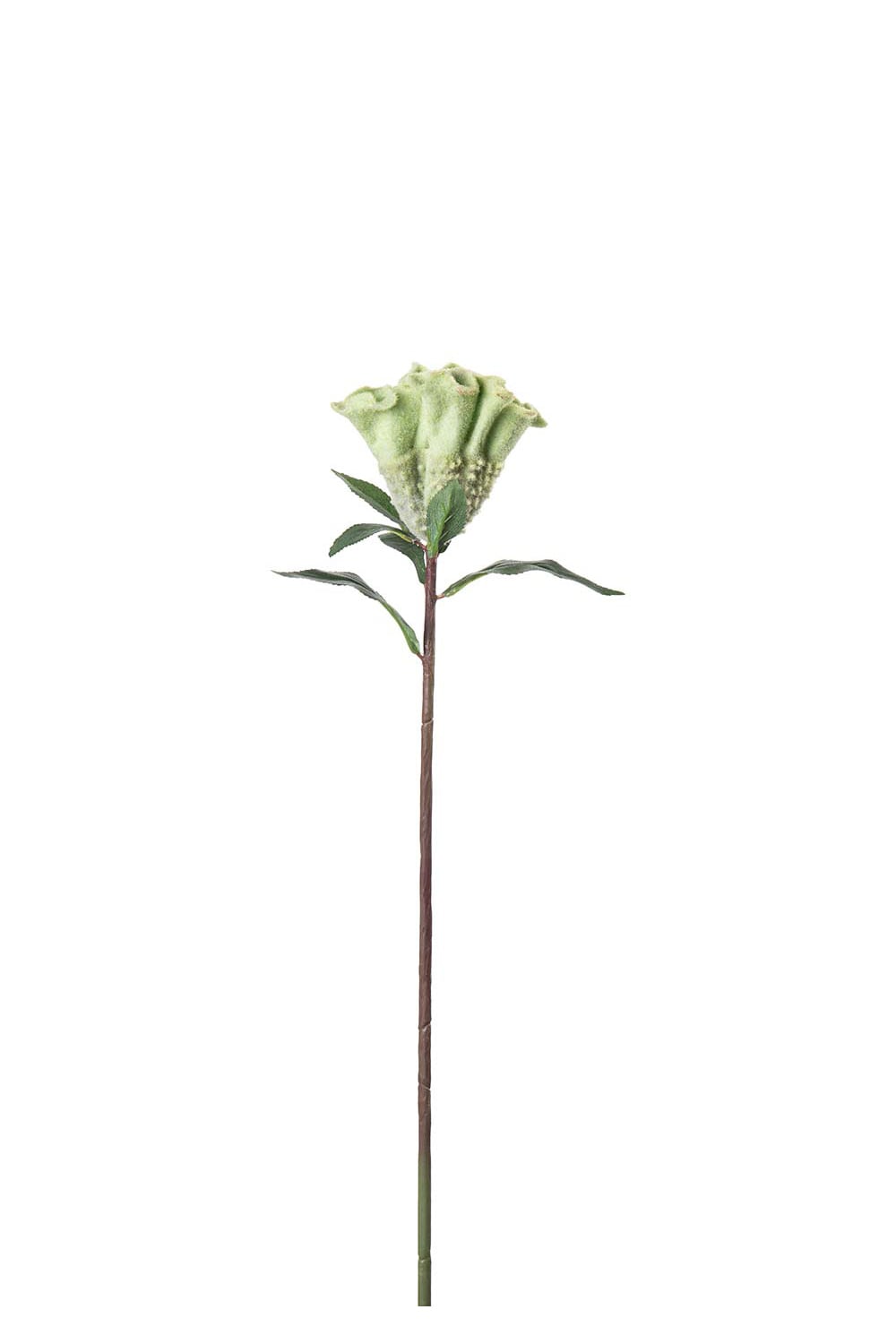 Konstgjord grön Celosia 67cm