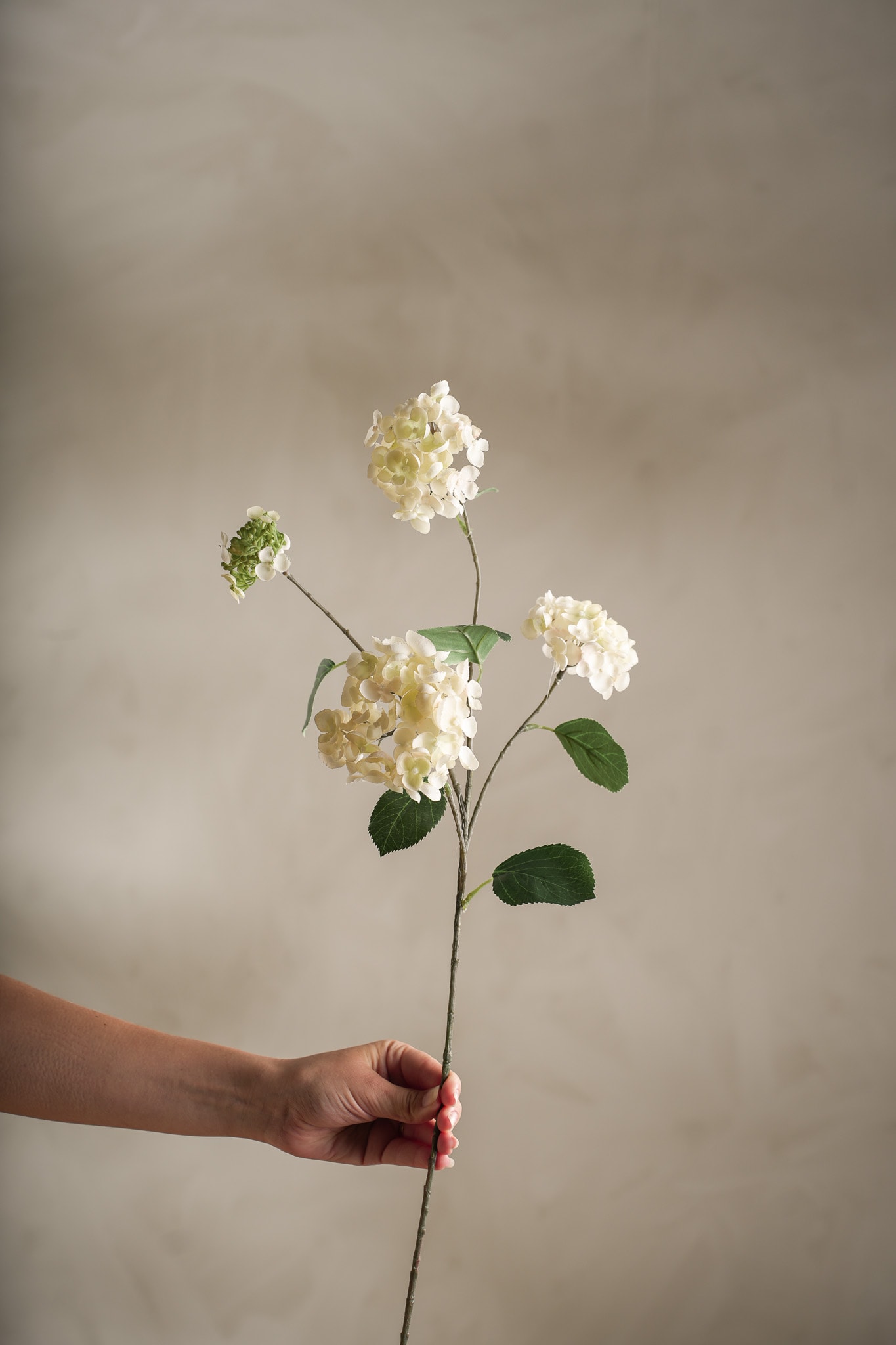 Konstgjord cremefärgad Hortensia 80cm