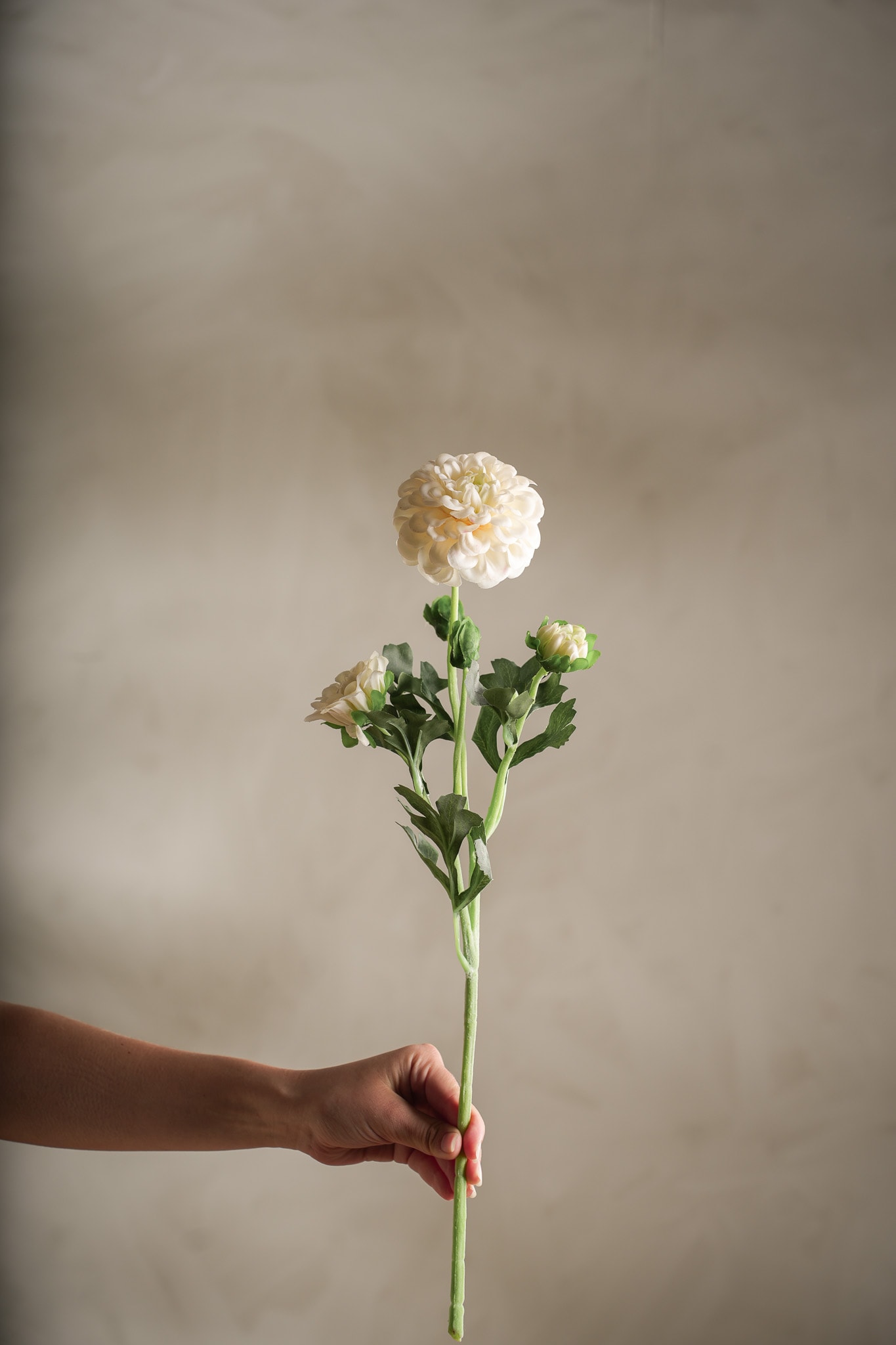 Konstgjord cremefärgad Chrysanthemum 52cm