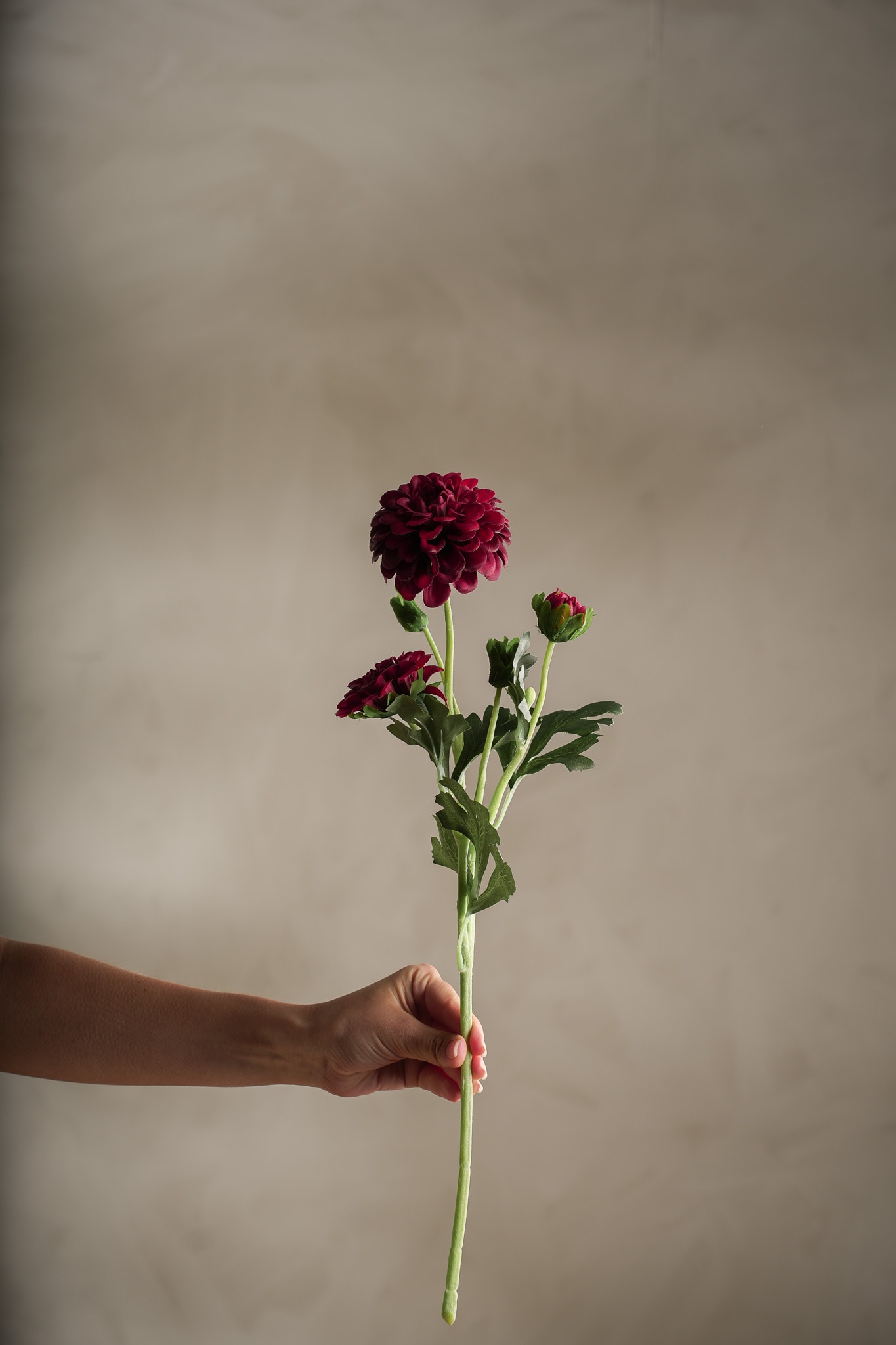 Konstgjord burgundy Chrysanthemum 52cm