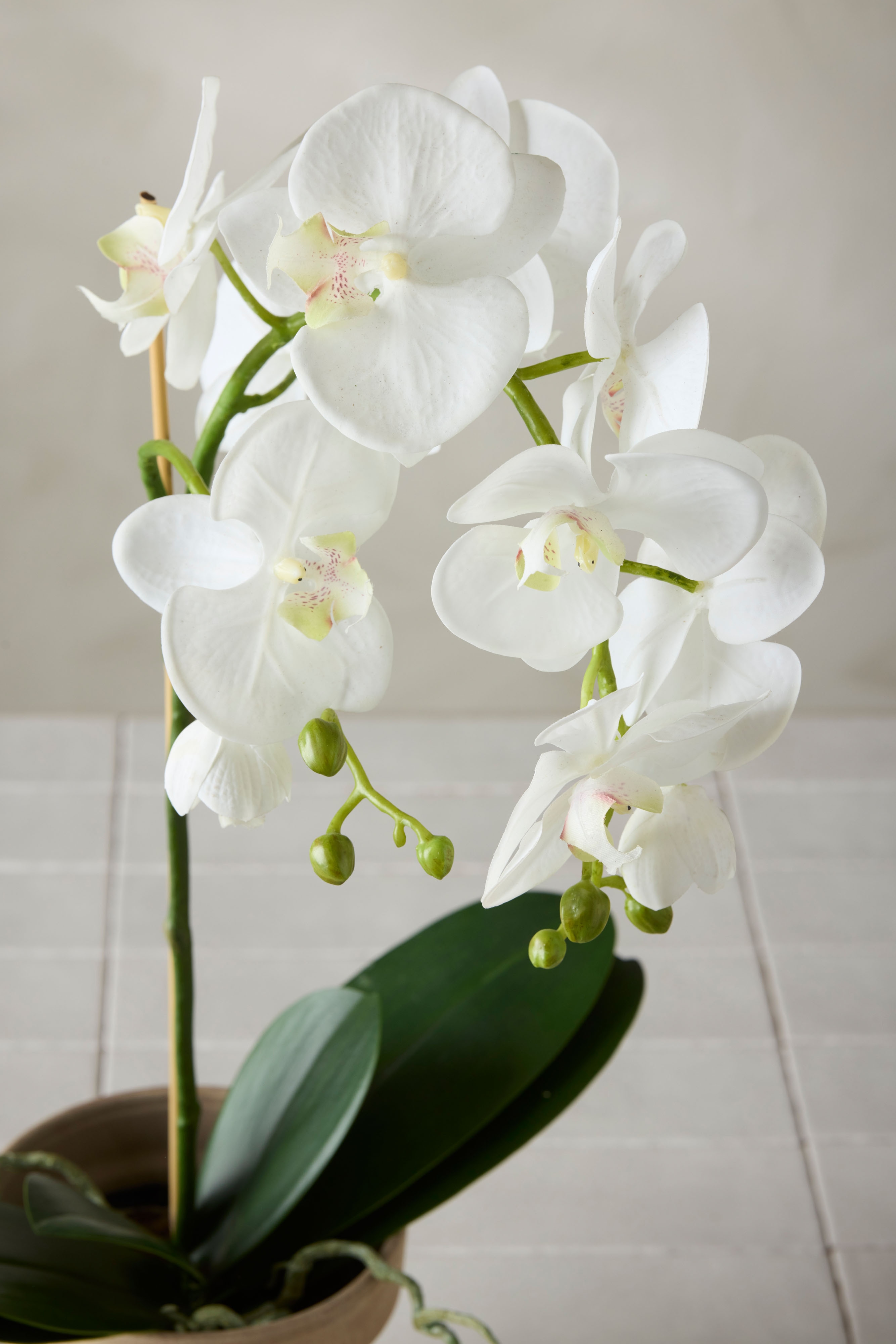 Konstgjord vit Phalaenopsis 60cm
