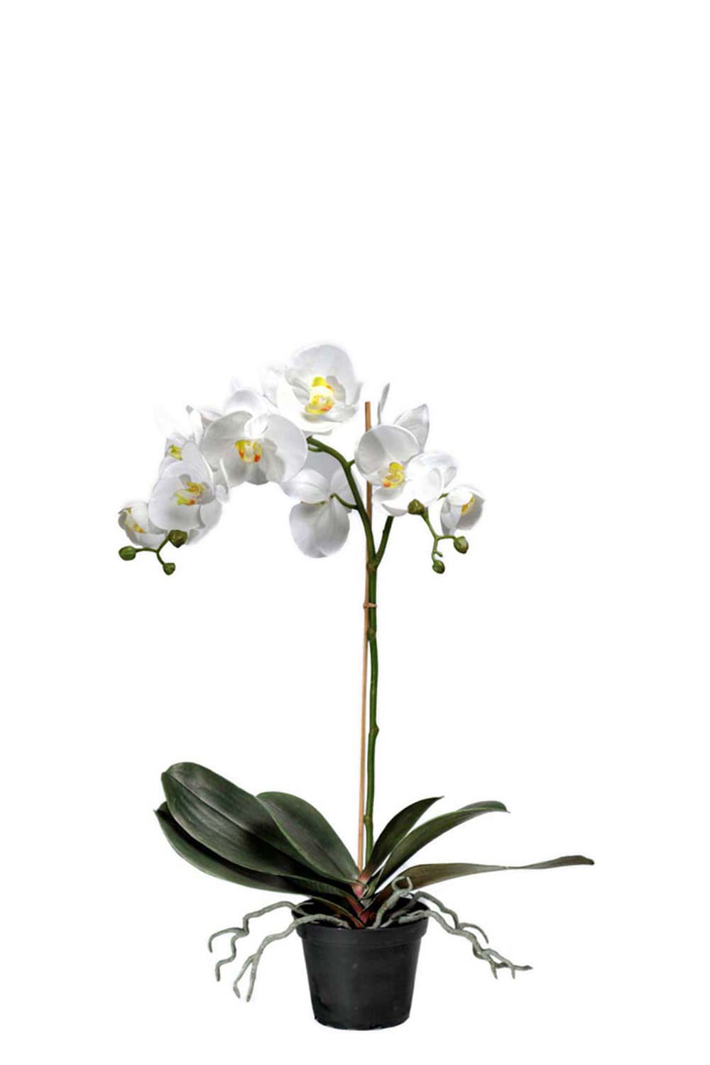 Konstgjord vit Phalaenopsis 60cm