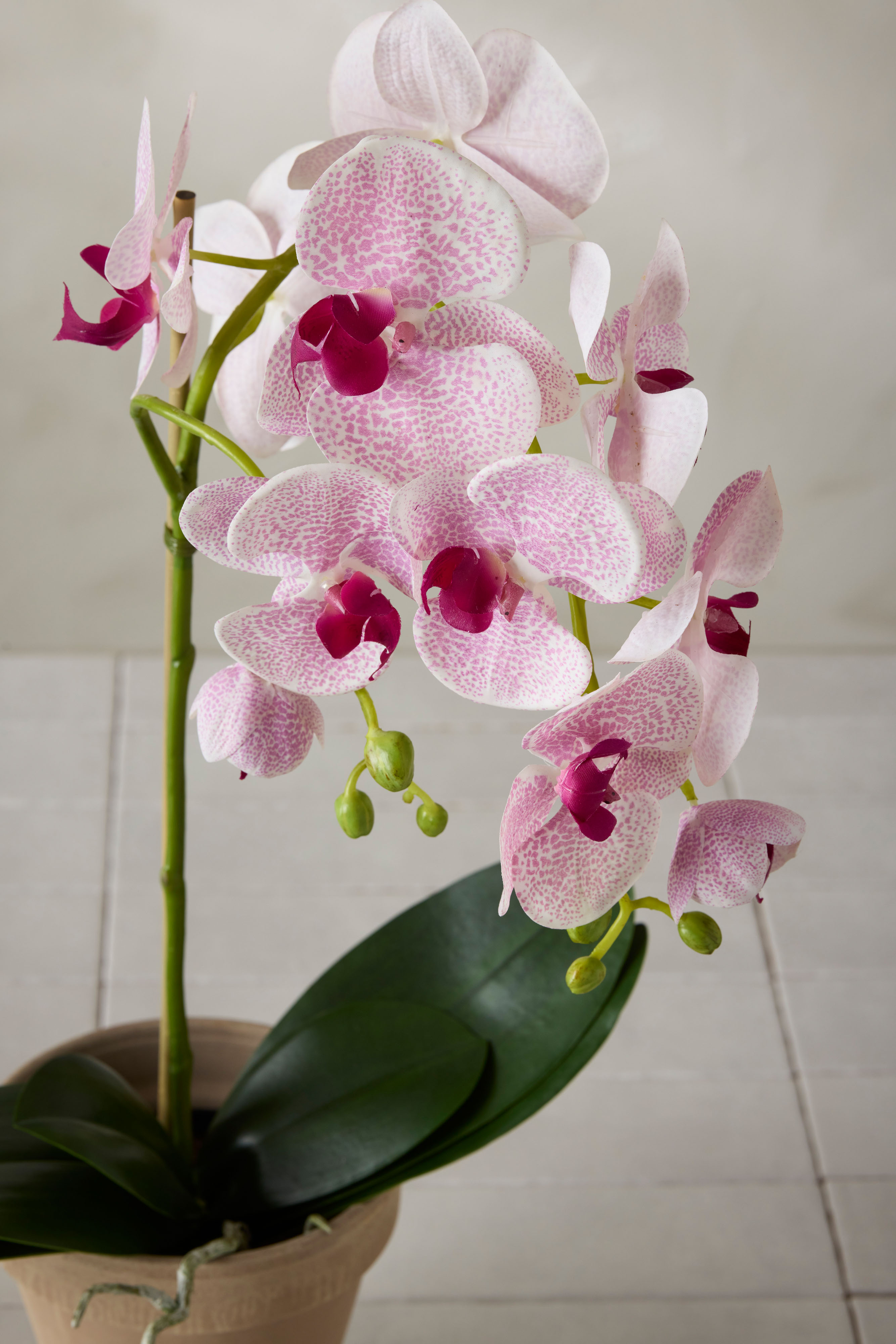 Konstgjord lila Phalaenopsis 60cm