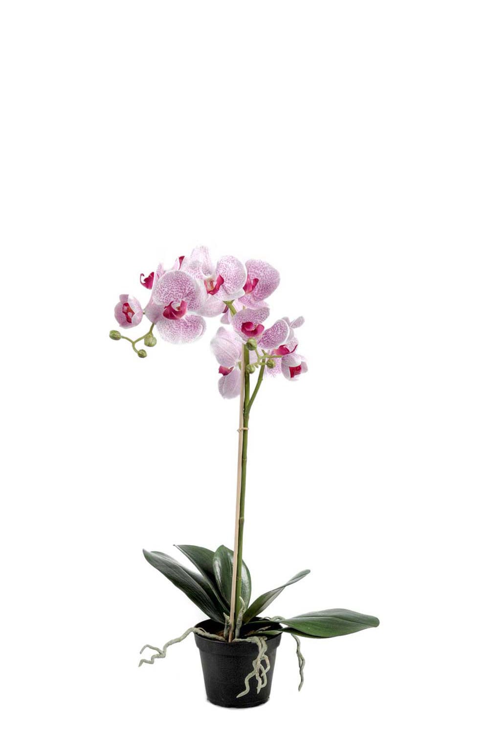 Konstgjord lila Phalaenopsis 60cm