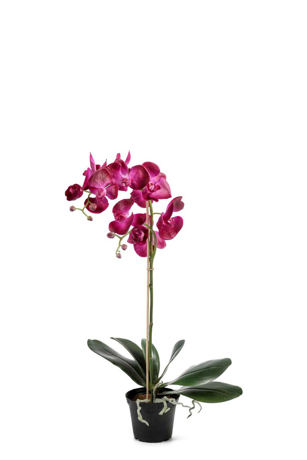 Konstgjord lila Phalaenopsis 60cm